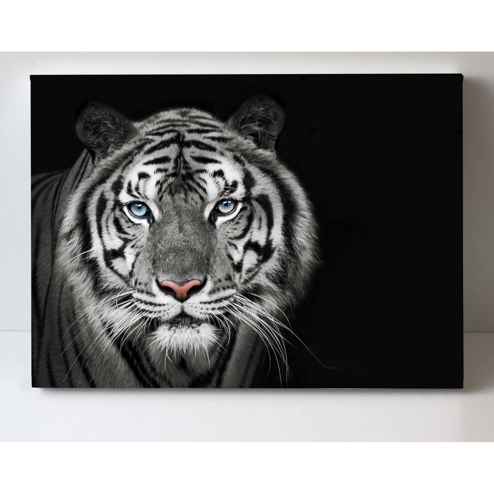 Cuadro Decorativo Canvas retrato de Tigre blanco 75x50