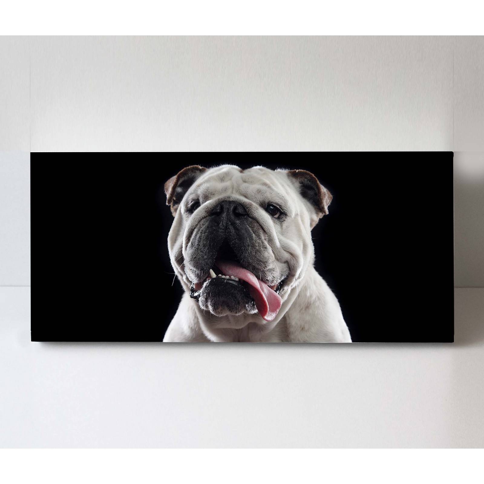 Cuadro Decorativo Canvas Retrato Bulldog inglés 120x60