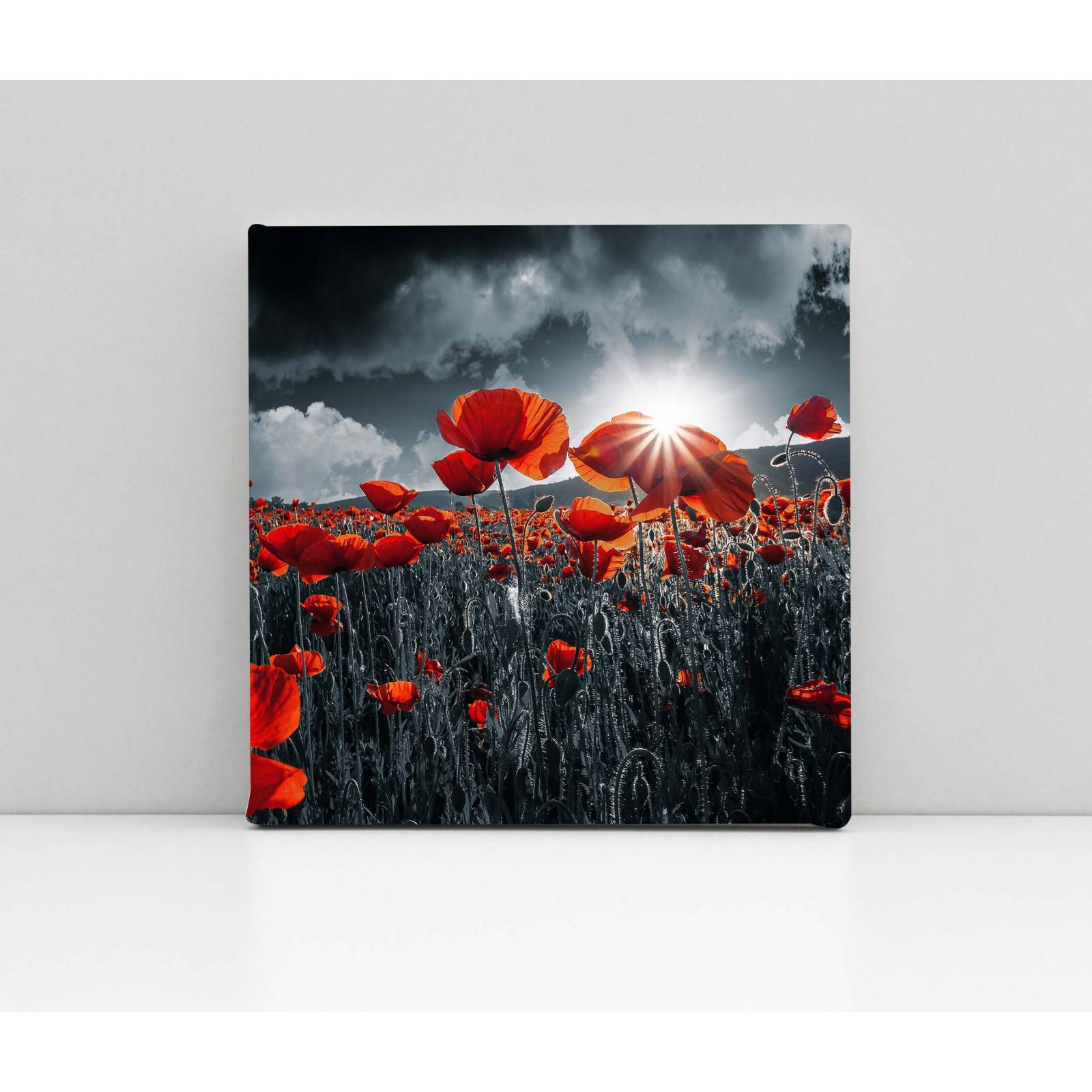 Cuadro Decorativo Canvas Amapolas Rojas 30x30