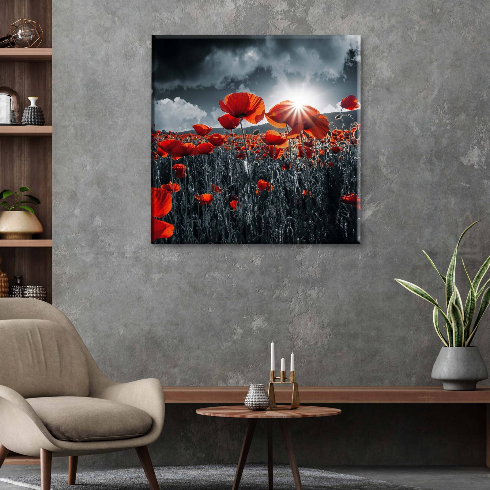 Cuadro Decorativo Canvas Amapolas Rojas 30x30