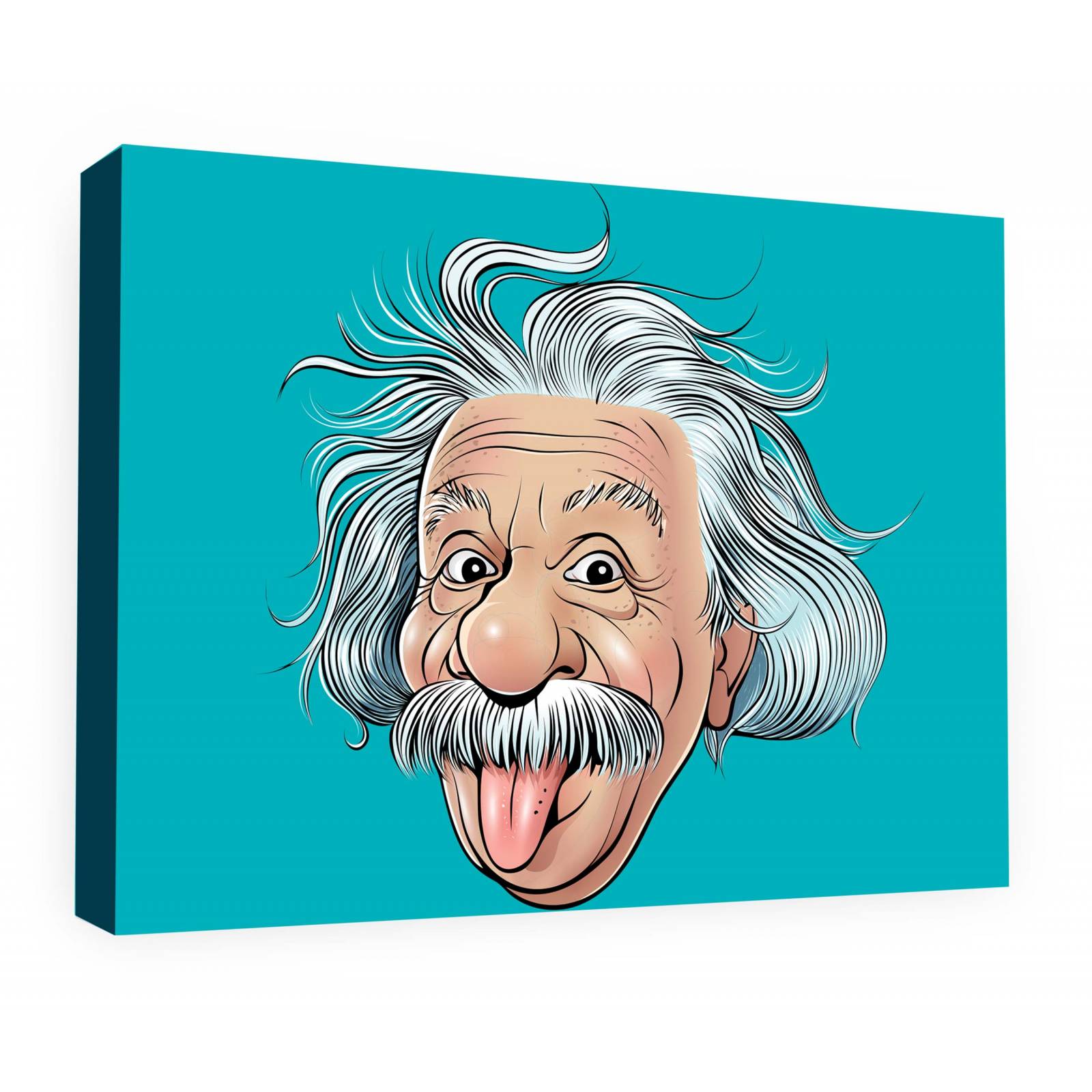 Cuadro Decorativo Canvas Albert Einstein caricatura 75x50