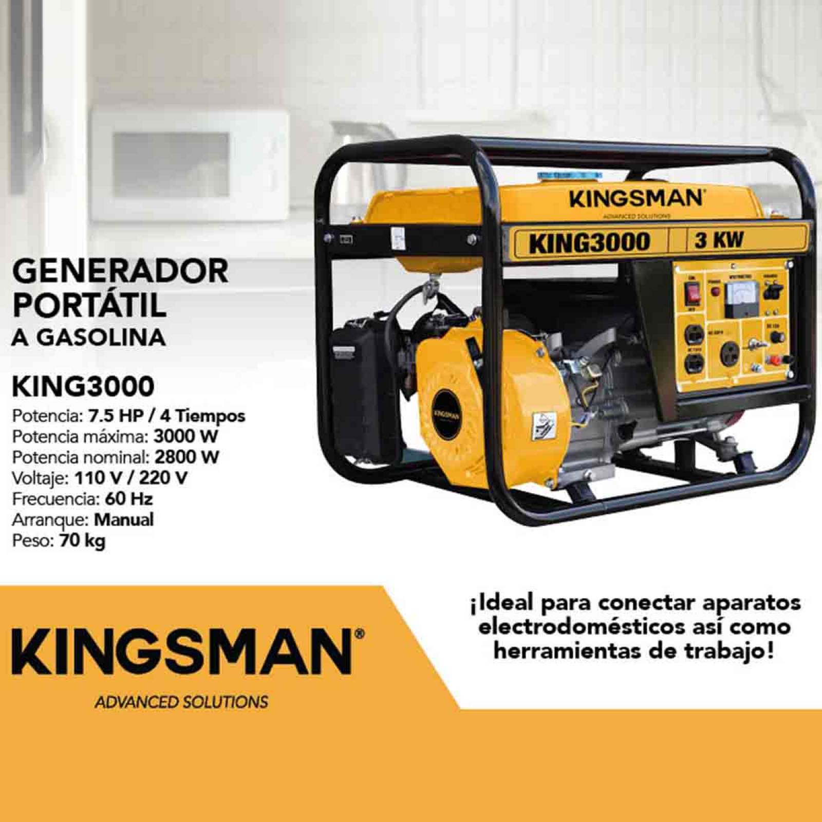 Generador Planta Luz Gasolina Portatil 3000w 7.5h.p 110/220v