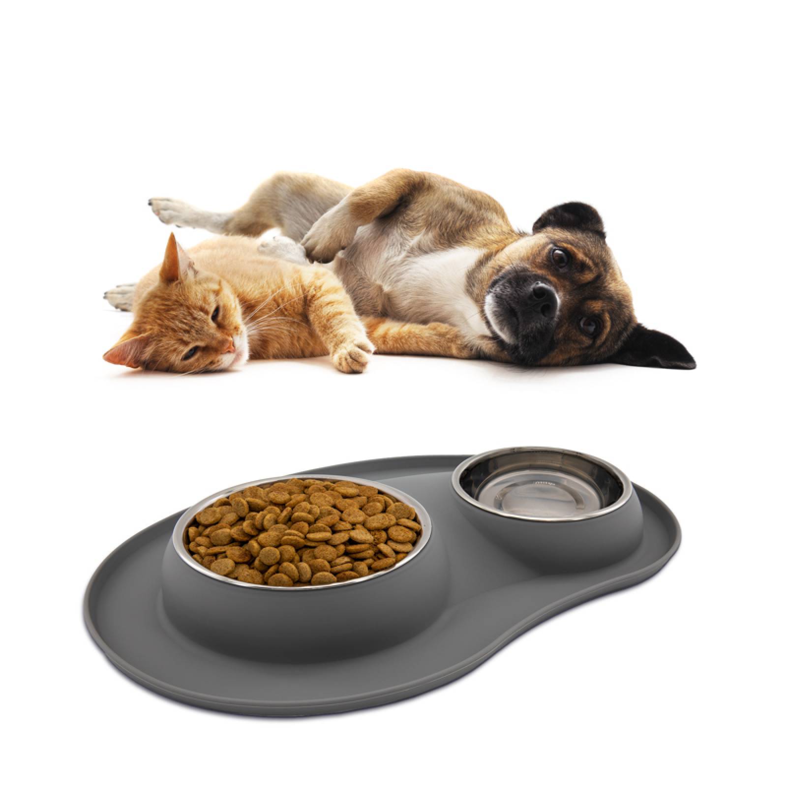 KE WOOW Set de 2 platos en acero inoxidable de 200 y 400 ml. con tapete de silicon. Ideal para perros/gatos y otras mascotas pequeñas. Color Gris
