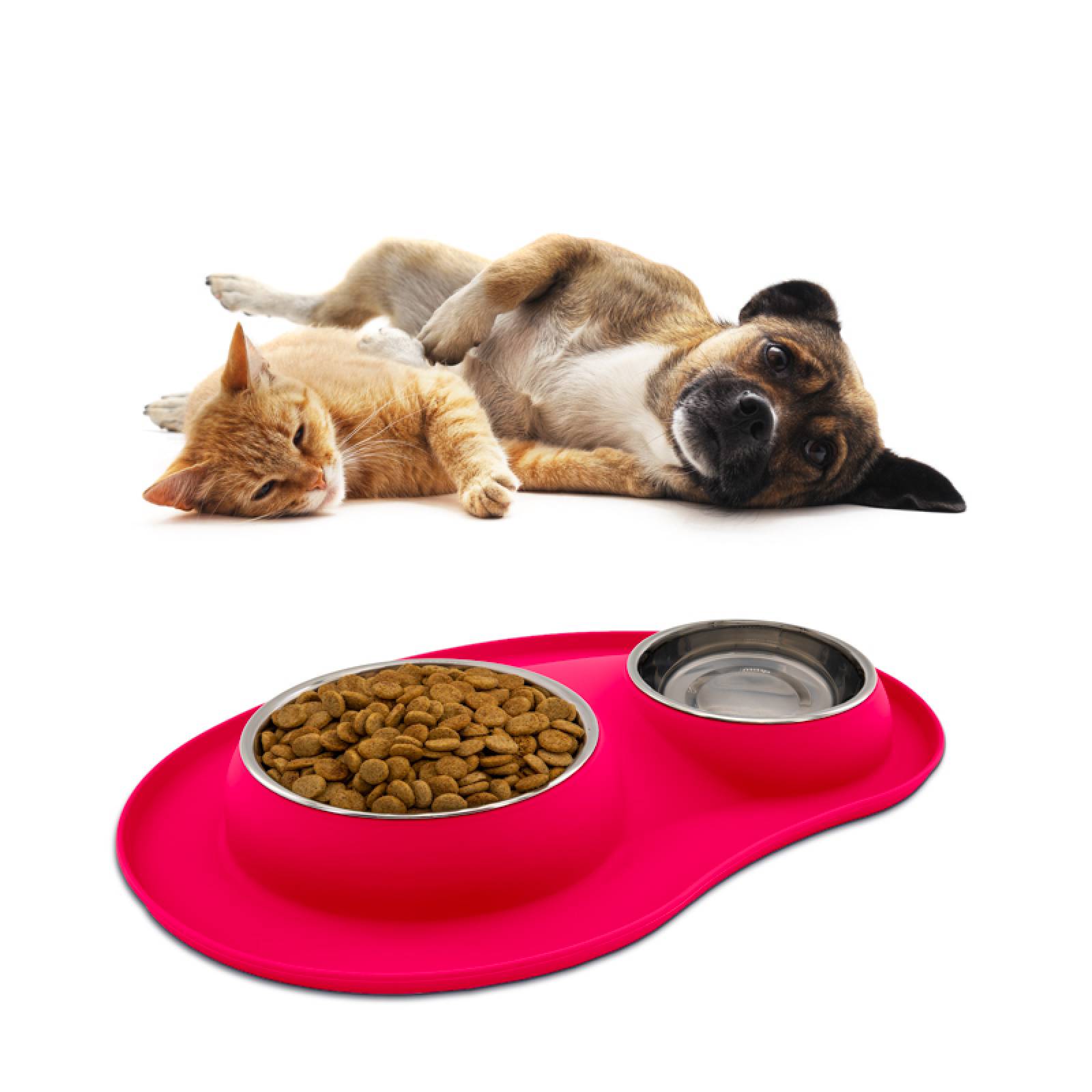 KE WOOW Set de 2 platos en acero inoxidable de 200 y 400 ml. con tapete de silicon. Ideal para perros/gatos y otras mascotas pequeñas. Color Rosa