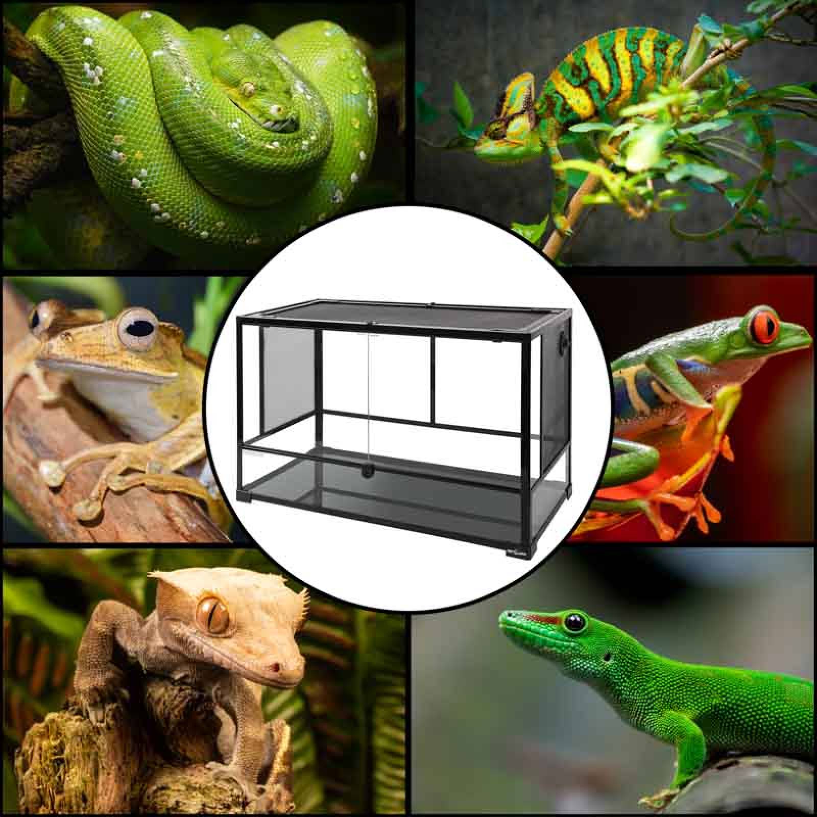 Reptizoo Terrario de Cristal para Reptiles de 250 Litros , 91.4 cm x 45.7 cm x 60 cm. Habitat con doble puerta frontal abatible, ventilación superior y lateral.