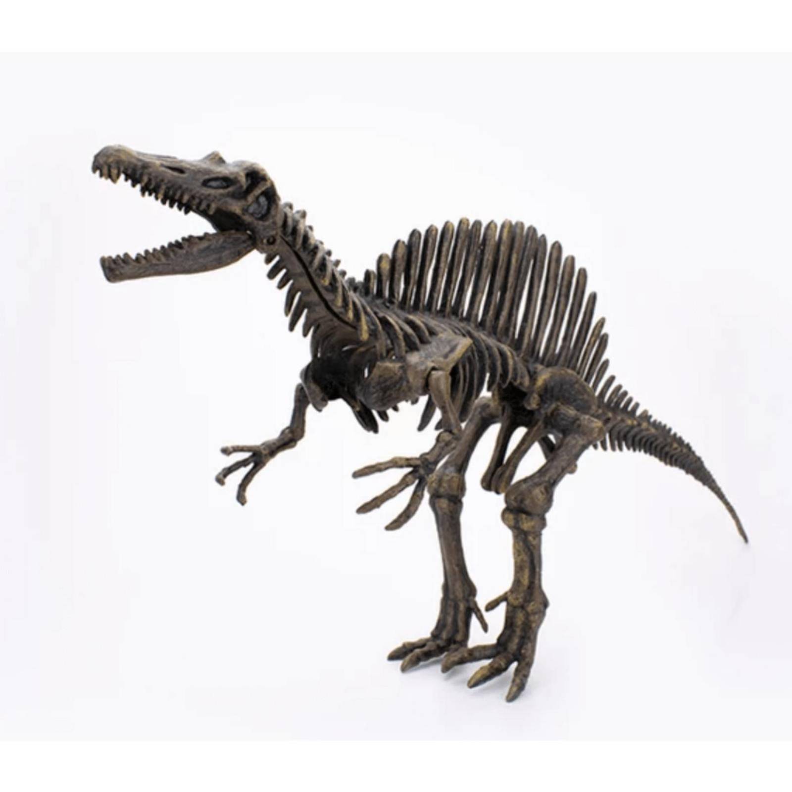 Dinohuesos Espinisaurio Dinosaurio Armable Kit Dino Huesos 