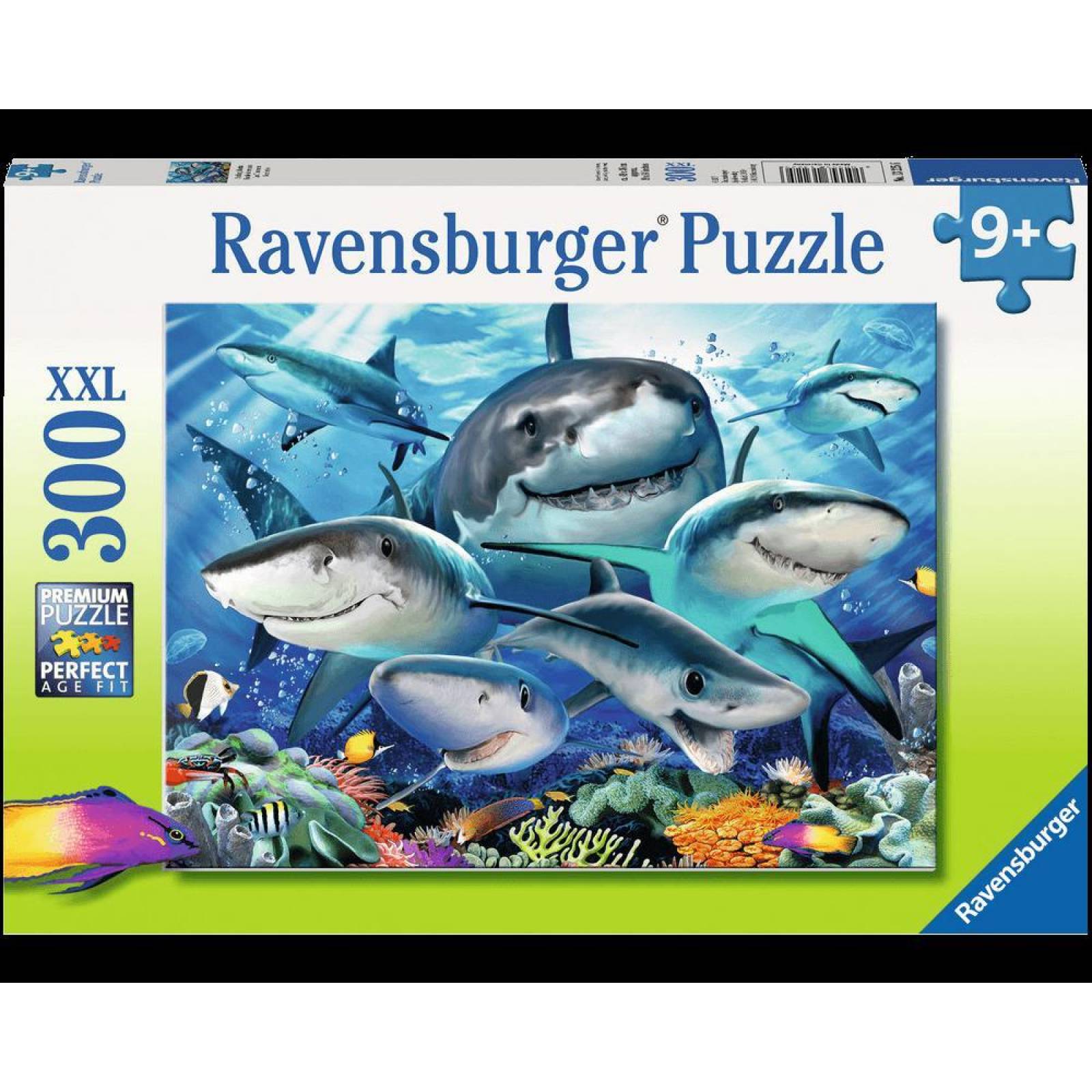 Rompecabezas De 300 Piezas, Tiburones Sonrientes 