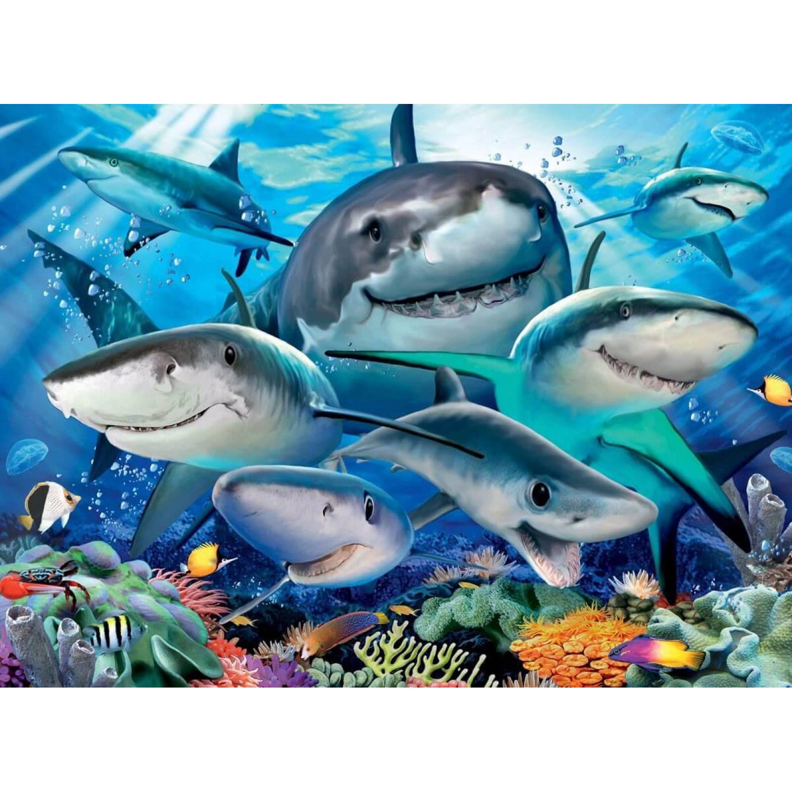Rompecabezas De 300 Piezas, Tiburones Sonrientes 