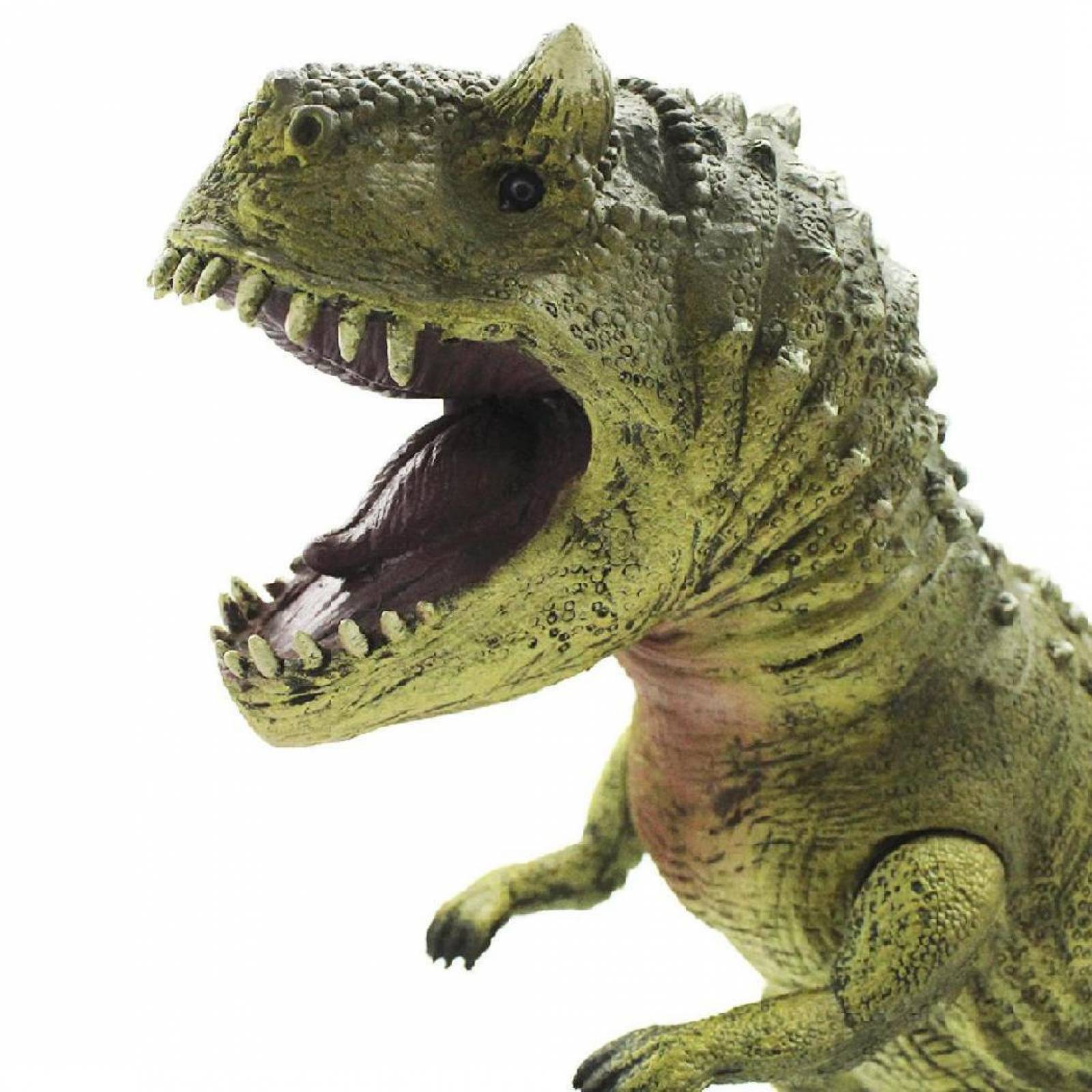 Carnotauro Figura Gigante De Dinosaurio Jurrasic 37 X 49 Cm 