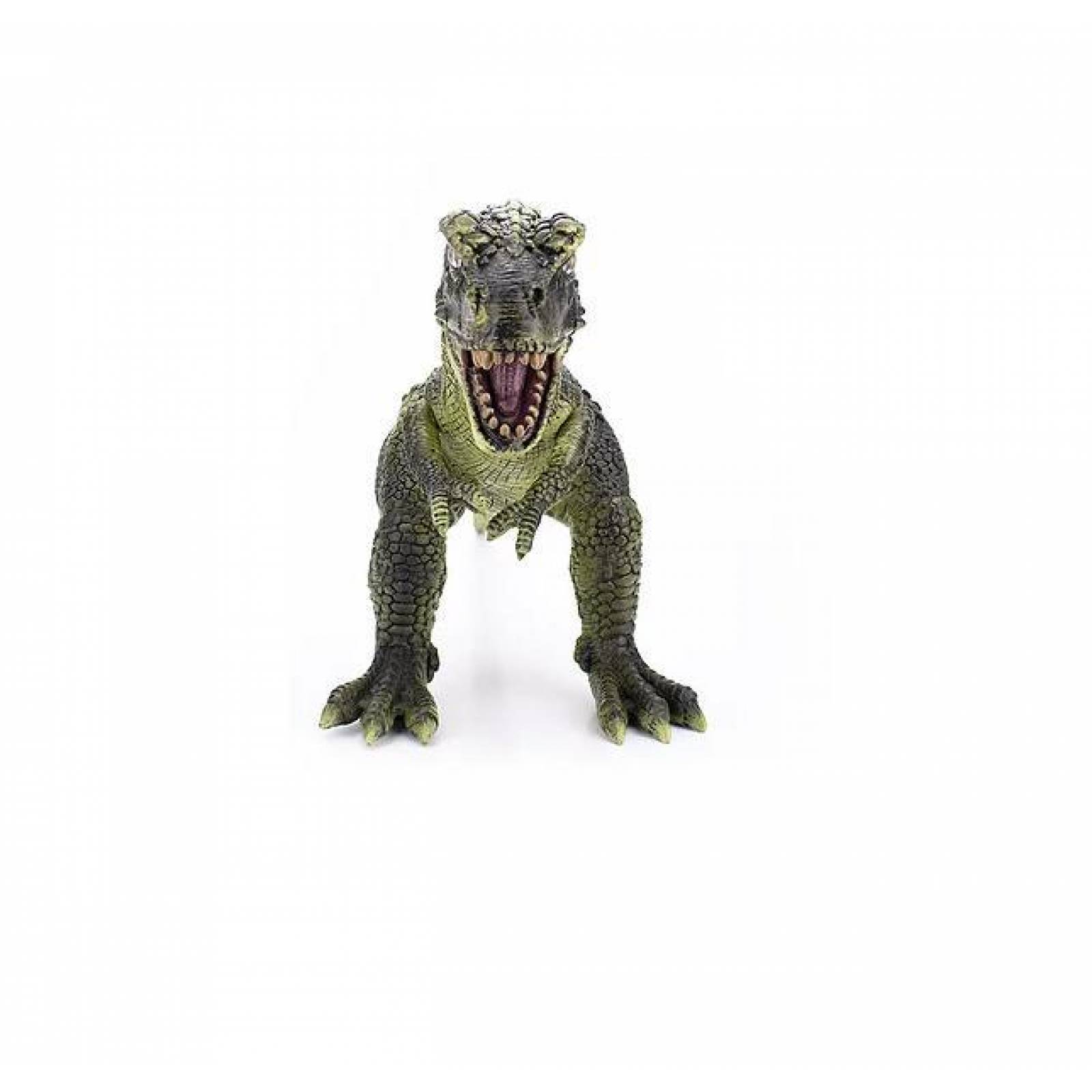 Rex Chico Tiranosaurio Figura Gigante Dinosaurio T-rex 30x33 