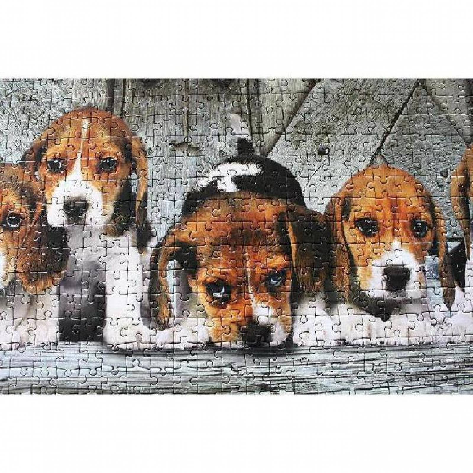 Cachorros Beagles Panomico, Rompecabezas 1000 Piezas 