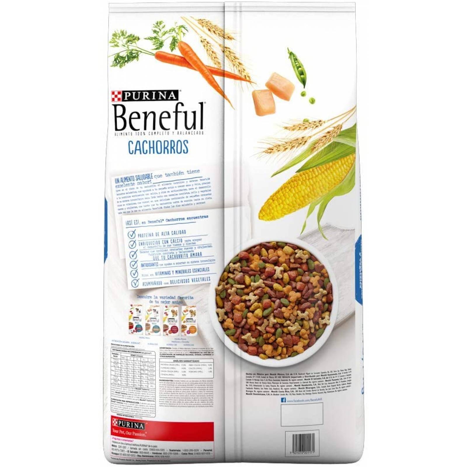 Beneful Cachorros Saludables, 10.1 kg