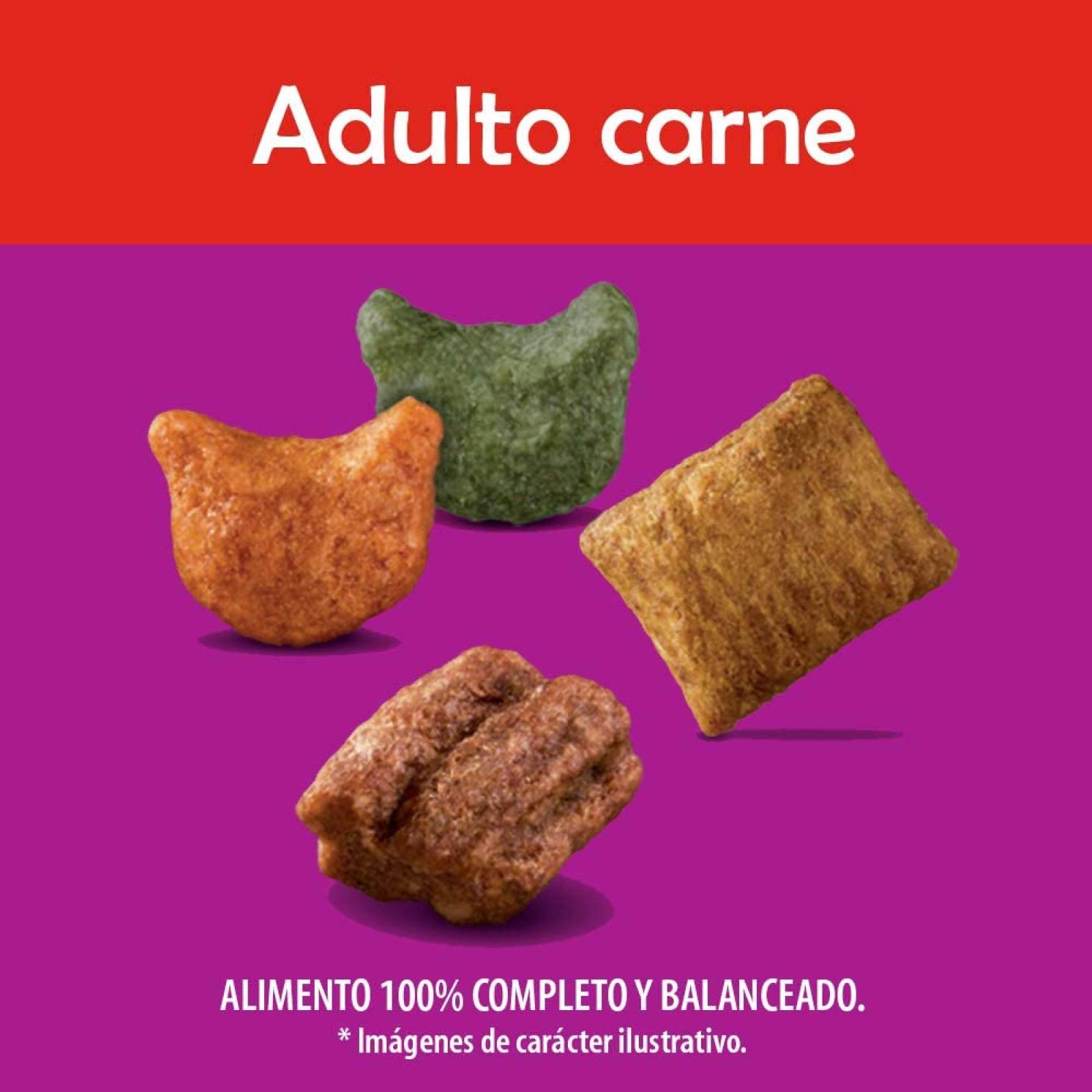 Whiskas alimento para Gatos Adultos. Sabor Carne (Receta Orginal) 9Kg, Violeta