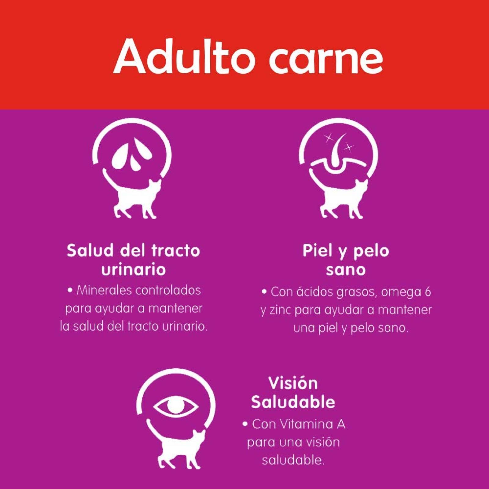 Whiskas alimento para Gatos Adultos. Sabor Carne (Receta Orginal) 9Kg, Violeta