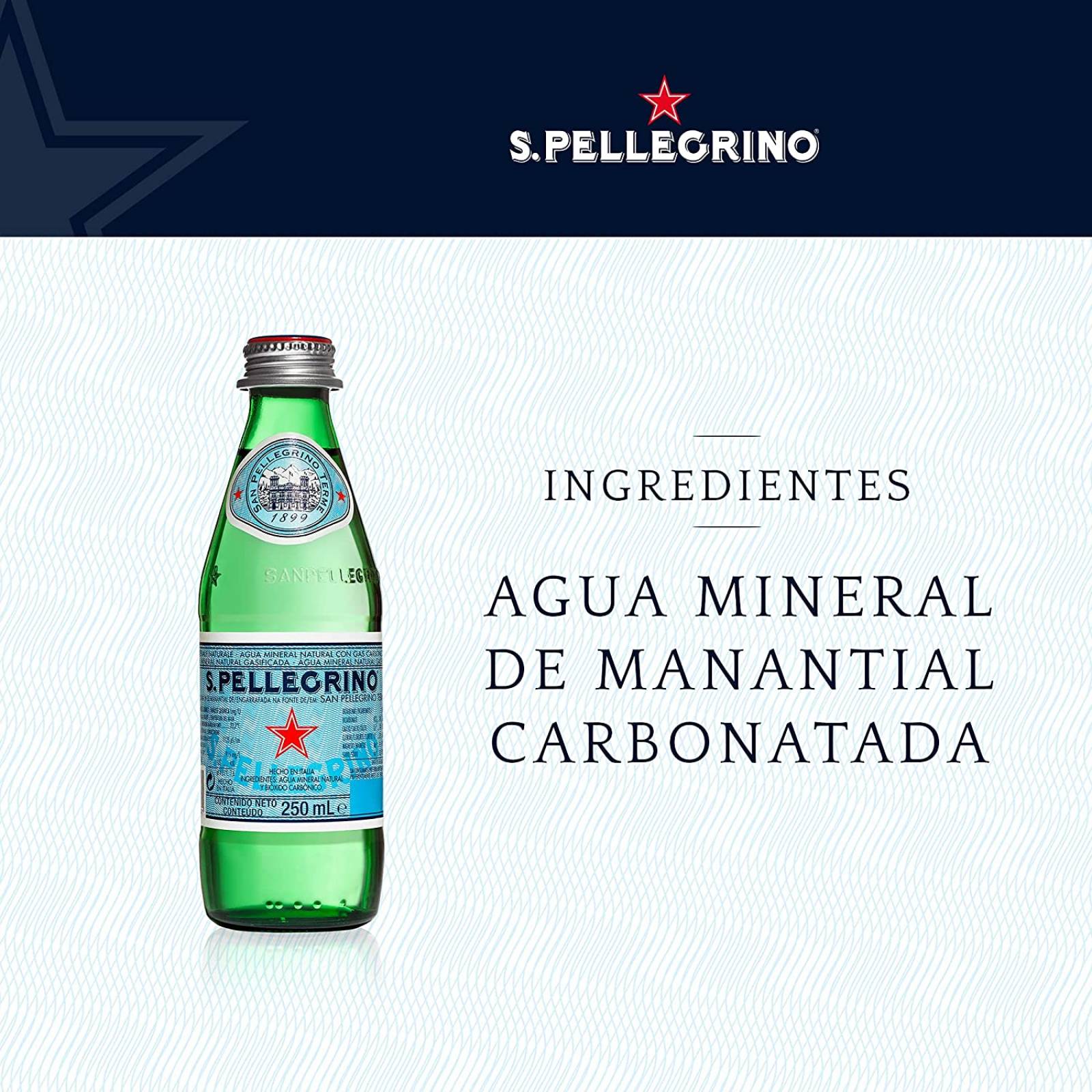 San Pellegrino, San Pellegrino Agua Mineral Natural, 250 mililitros, Paquete de 24, 6 litros