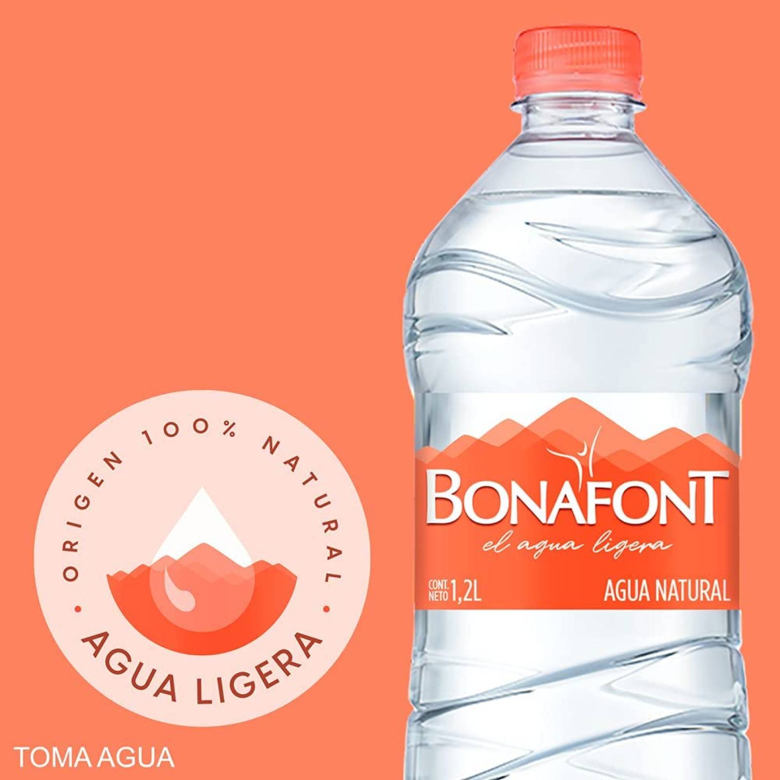 Agua Natural Bonafont 1.2L 12 Pack