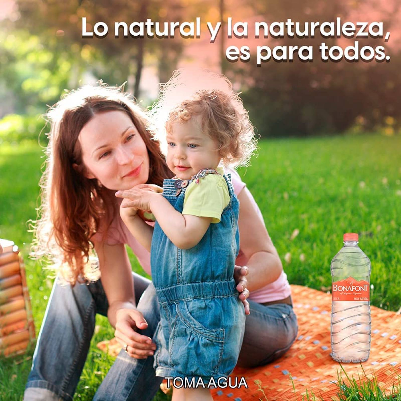 Agua Natural Bonafont 1.2L 12 Pack