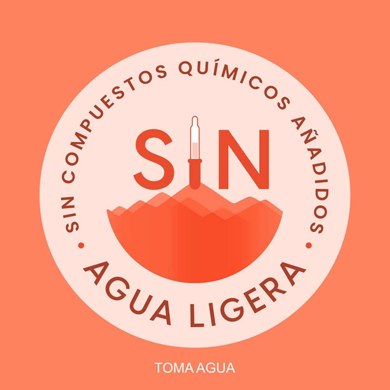 Agua Natural Bonafont 1.2L 12 Pack