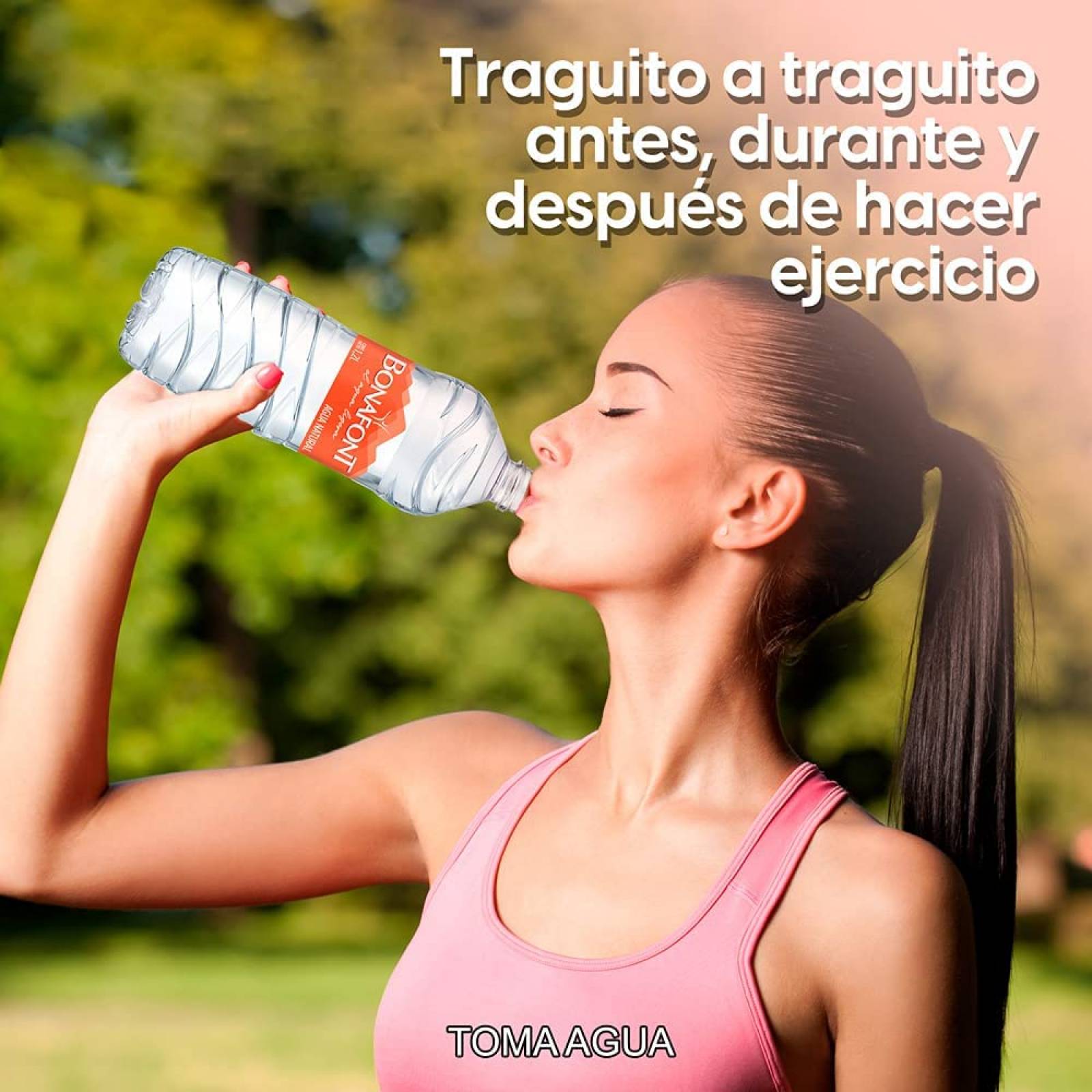 Agua Natural Bonafont 1.2L 12 Pack