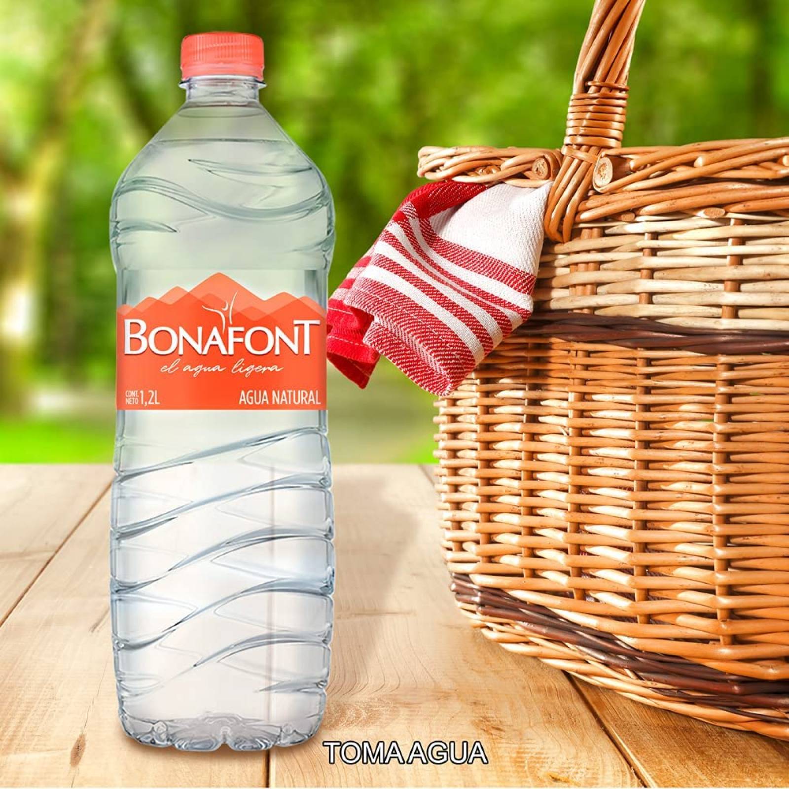 Agua Natural Bonafont 1.2L 12 Pack