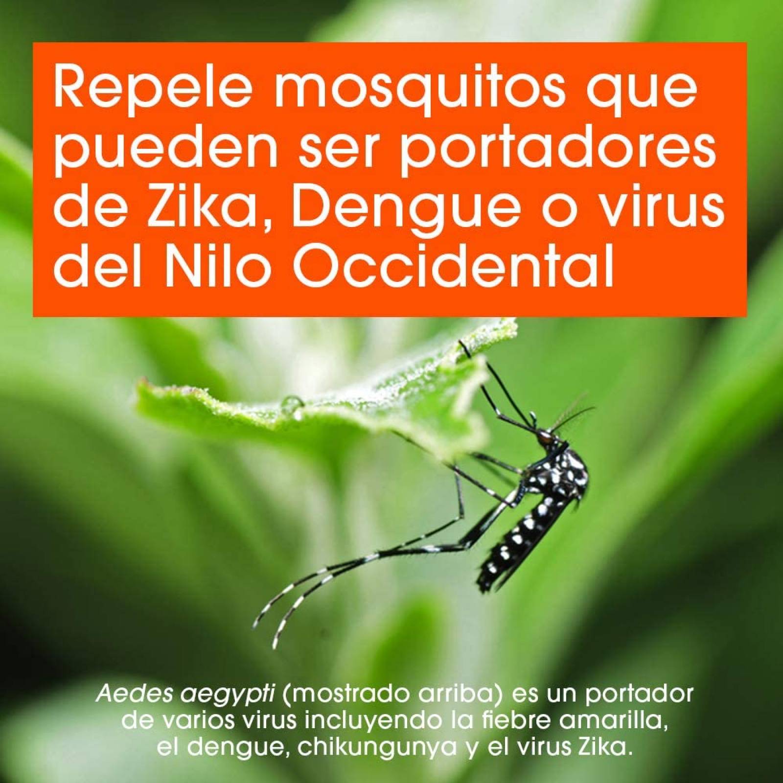 Pulsera Anti mosquitos Repelente Insectos Niños zancudo GENERICO