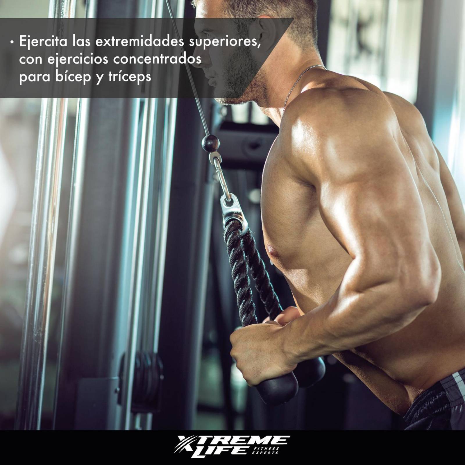 Accesorio Gimnasio Maneral Agarre Cuerda para Tricep /Biceps 