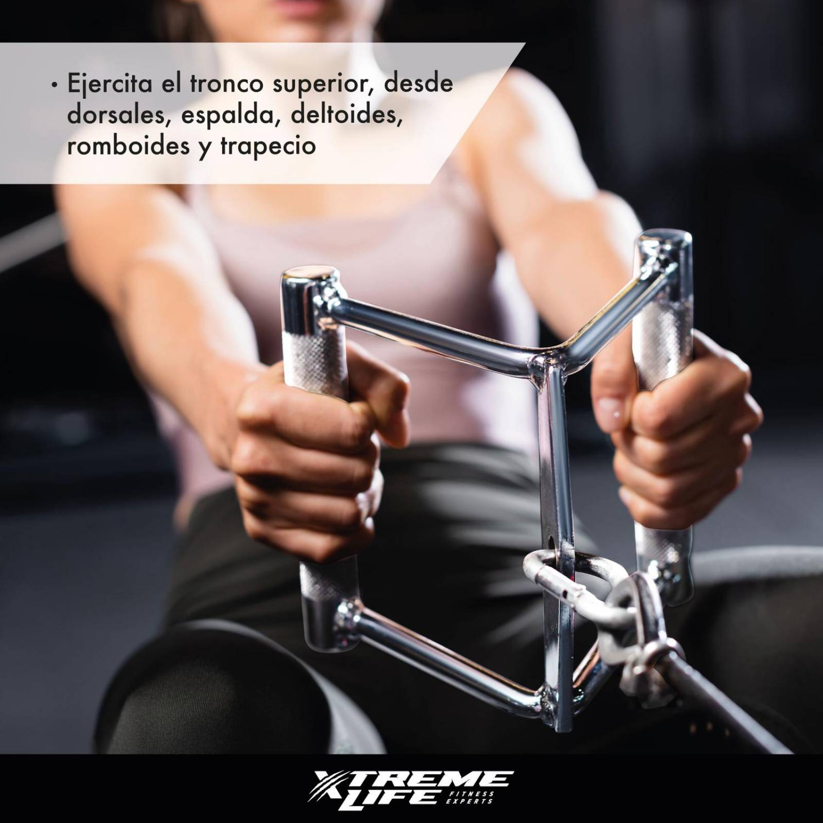 Accesorio Gimnasio Maneral Agarradera Doble D Espalda 