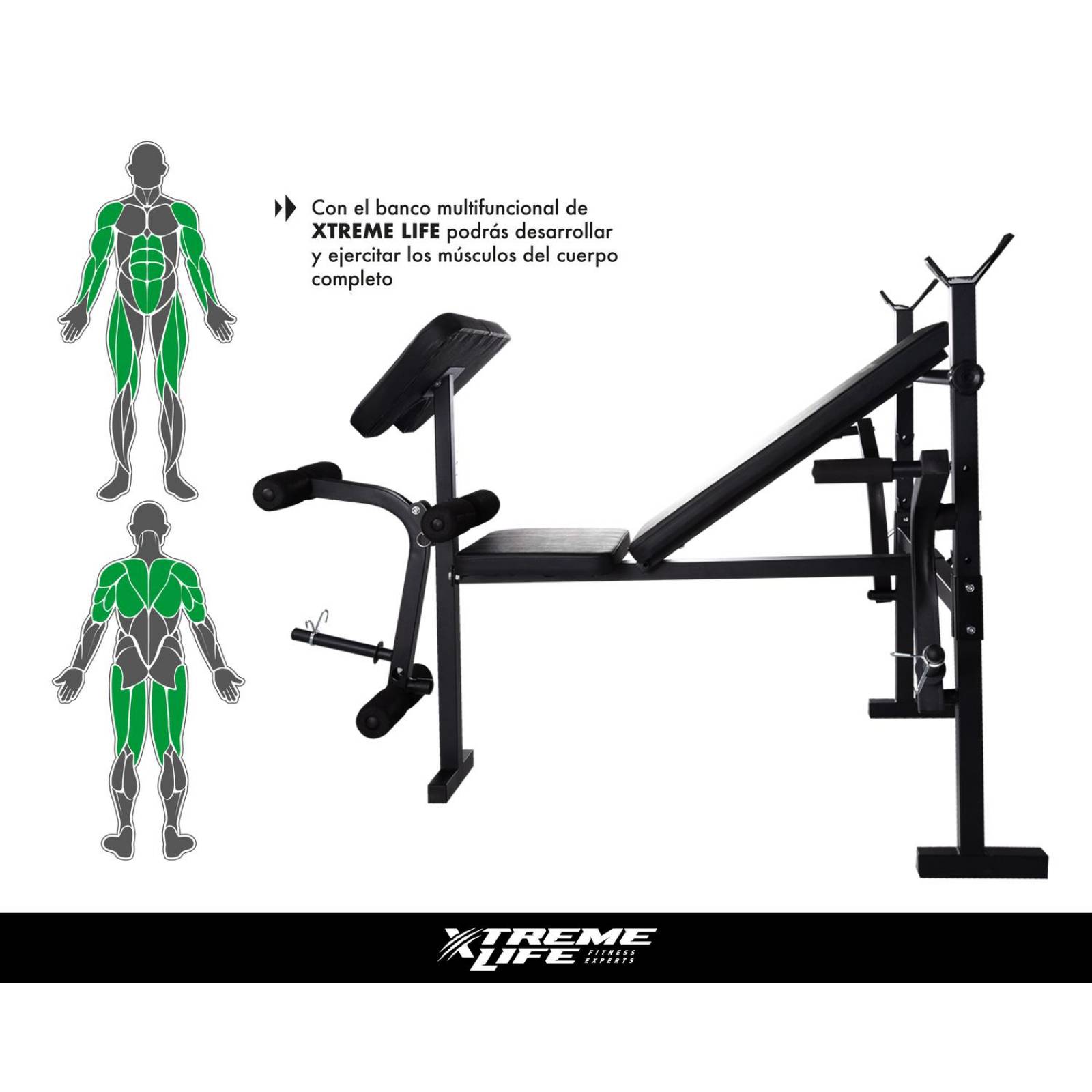 Banco Con Predicador +Set de Barras Mancuernas Discos 100LBs Negro