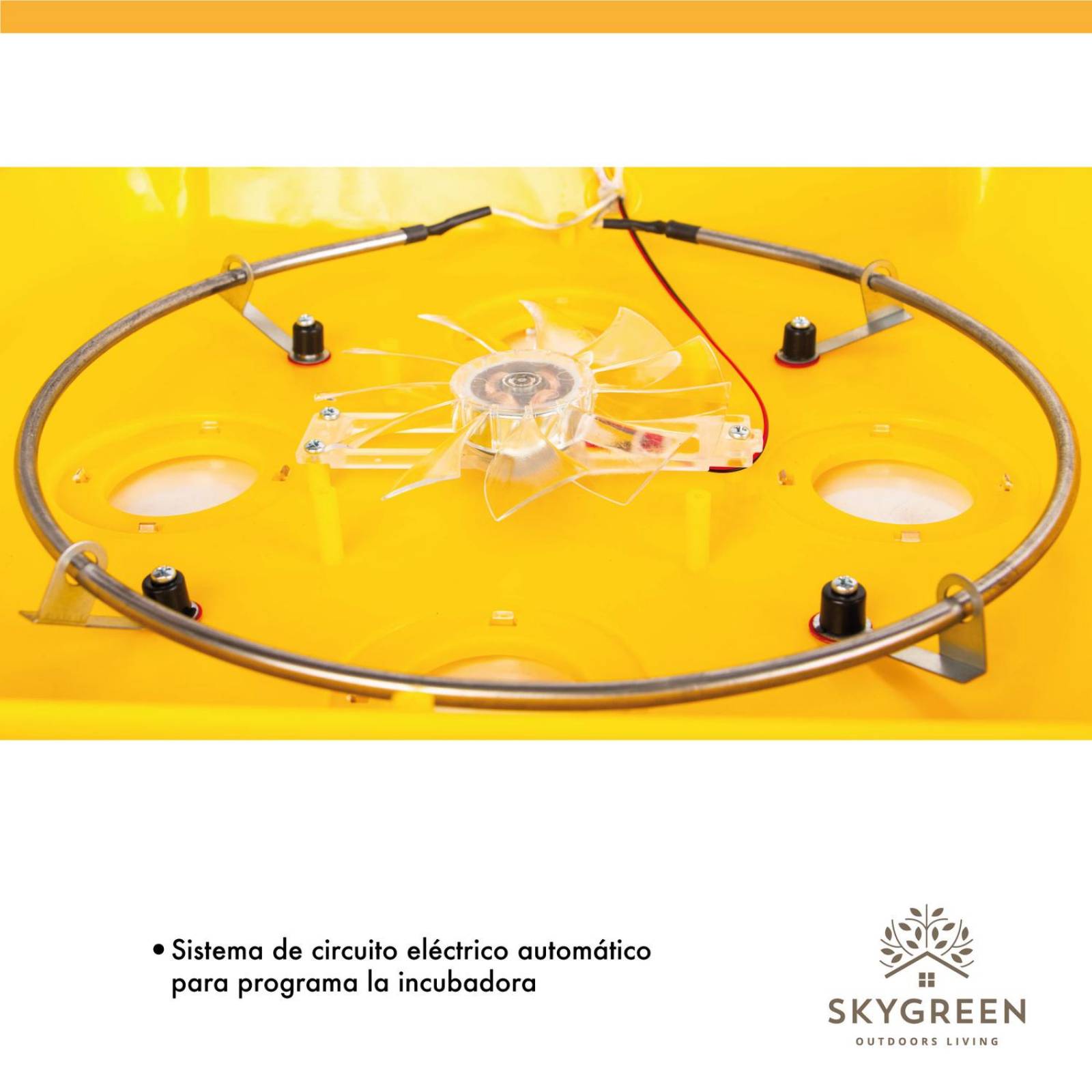 Incubadora 56 Huevos Pollos Y Aves Con Giro Automatico 