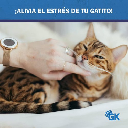 Golden King | Rascador para Gatos 47 cm de Alto Juguetes para Gatos y Cama para Gato. 