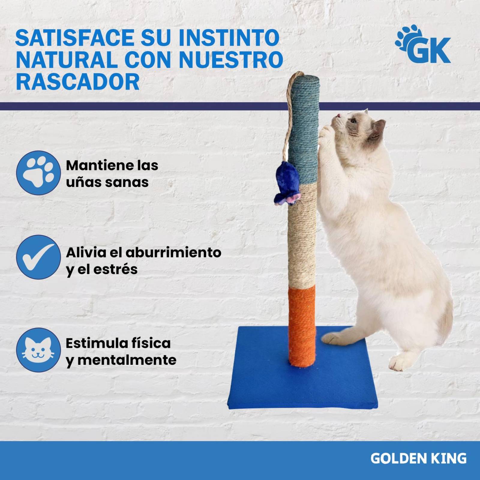 Golden King | Rascador para Gatos 1 Metro de Alto Juguetes para Gatos | Centro de Entretenimiento Torre para Gato 