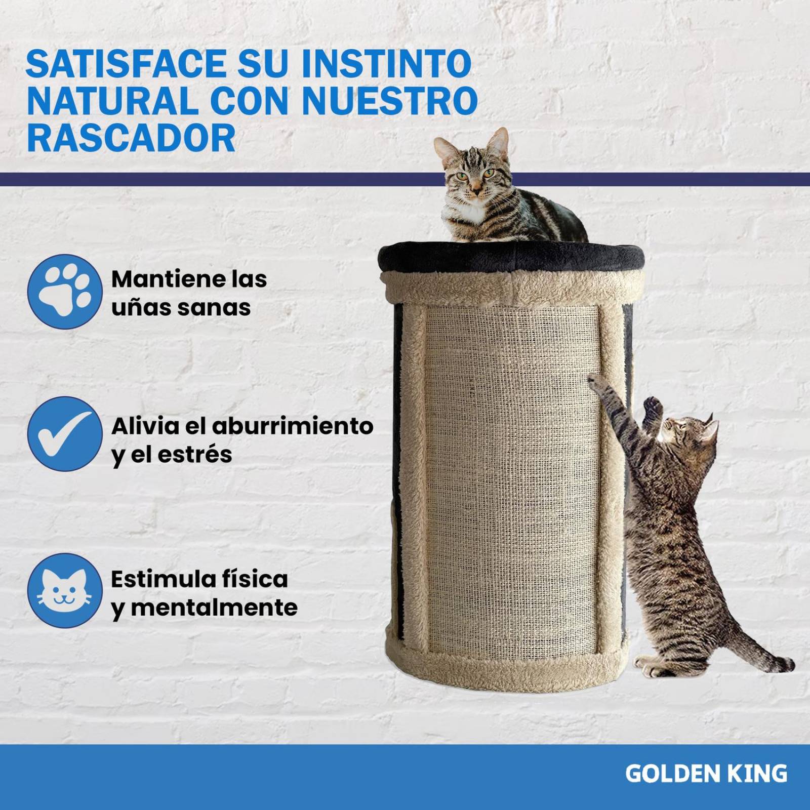 Golden King | Rascador para Gatos 75 cm de Alto Juguetes para Gatos y Cama para Gato | Centro de Entretenimiento de 3 
