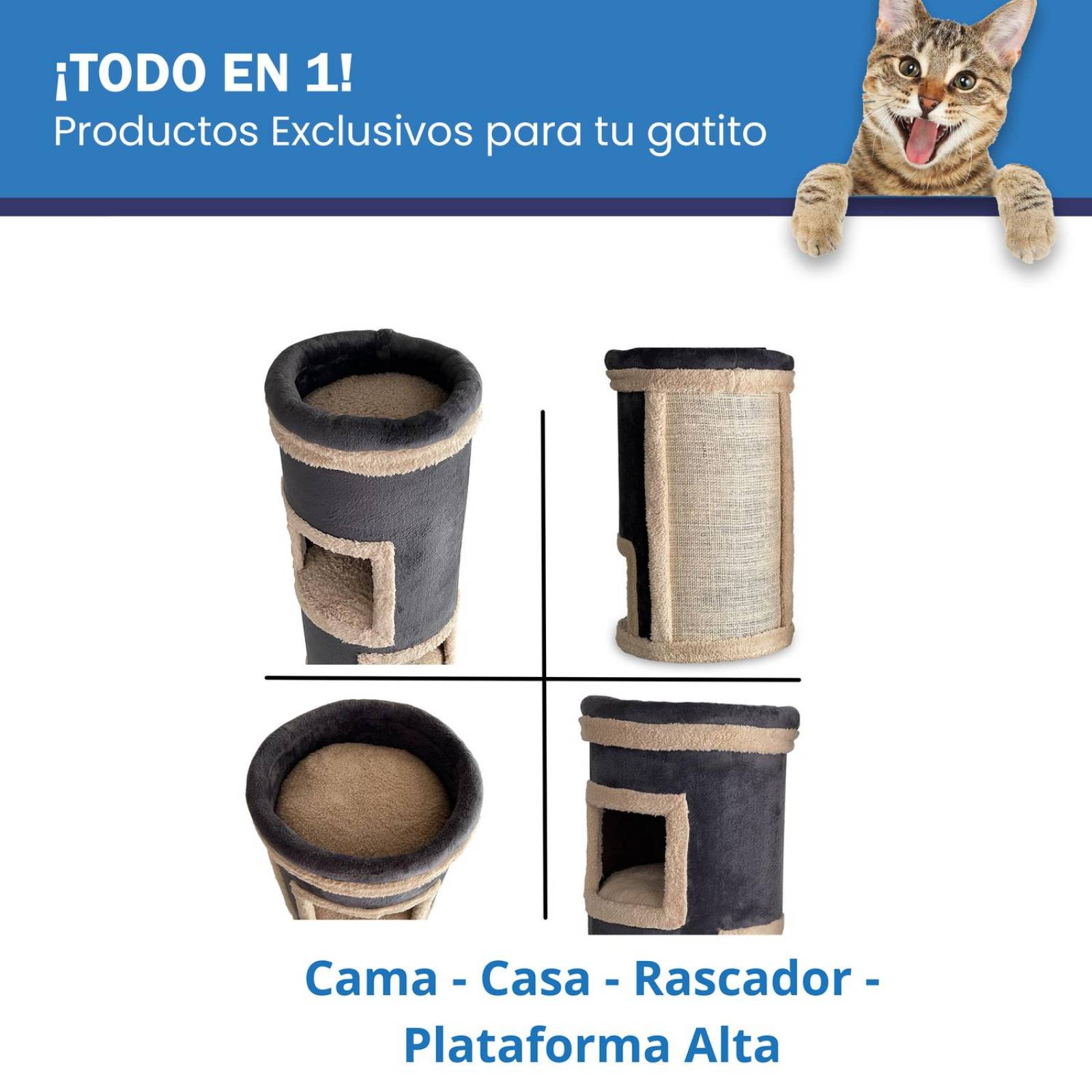 Golden King | Rascador para Gatos 75 cm de Alto Juguetes para Gatos y Cama para Gato | Centro de Entretenimiento de 3 