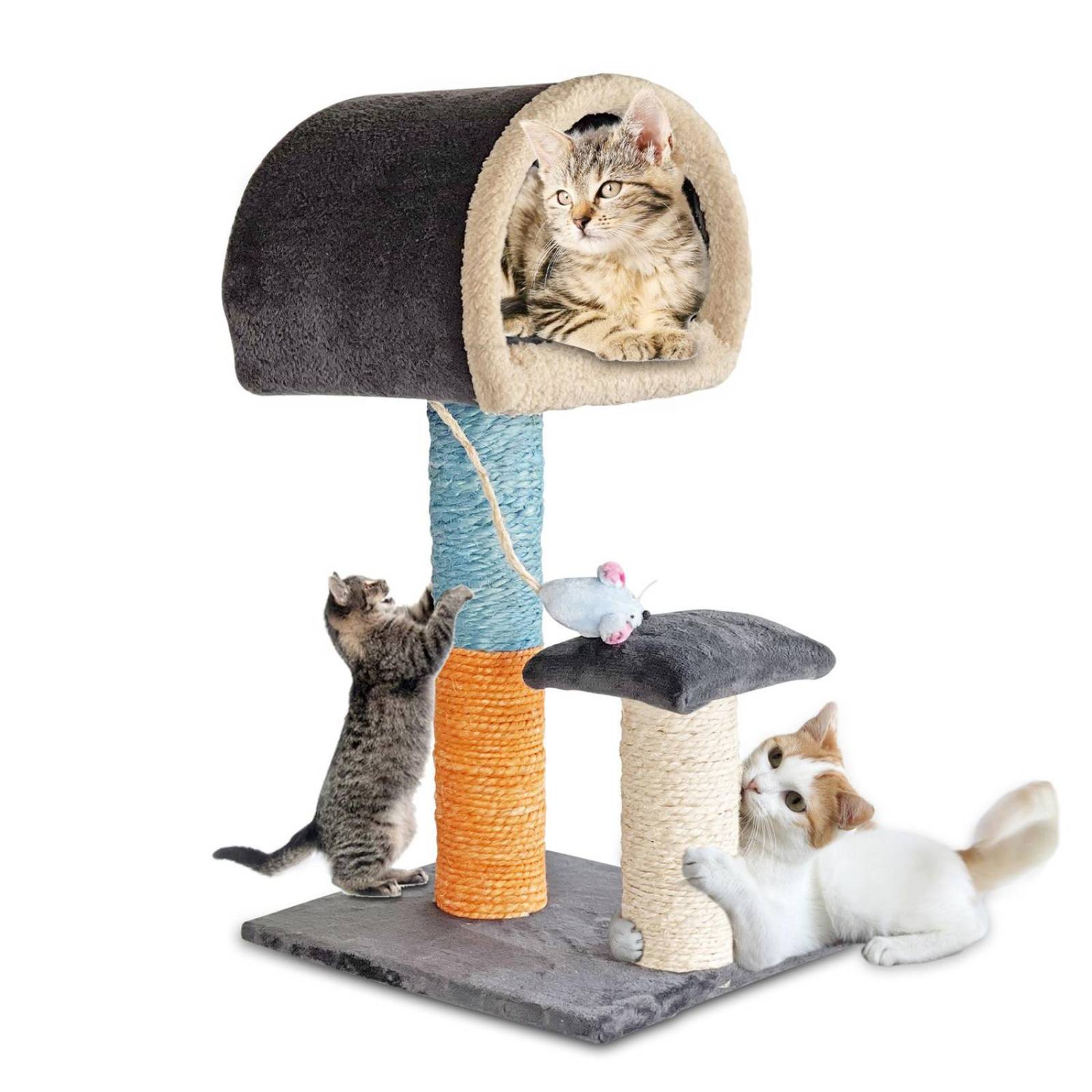 Golden King | Rascador para Gatos 75 cm de Alto Juguetes para Gatos y Cama para Gato | Casa para Gato, Cama y Rascador 