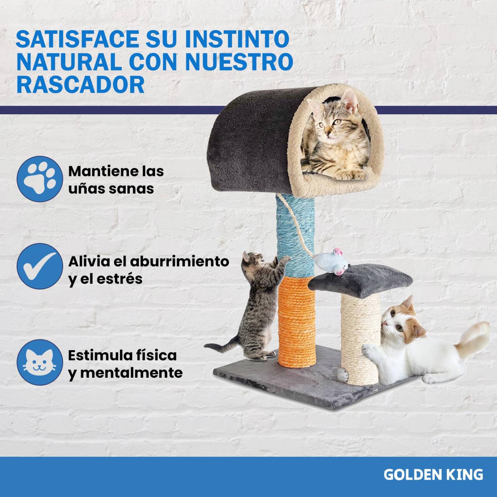 Golden King | Rascador para Gatos 75 cm de Alto Juguetes para Gatos y Cama para Gato | Casa para Gato, Cama y Rascador 