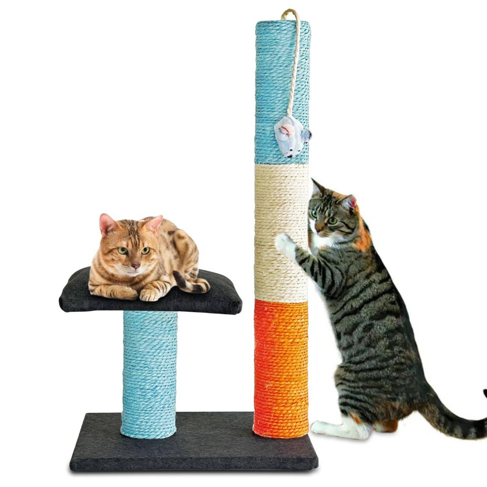 Golden King | Rascador para Gatos 70 cm de Alto Juguetes para Gatos y Cama para Gato | Rascador con Plataforma de 