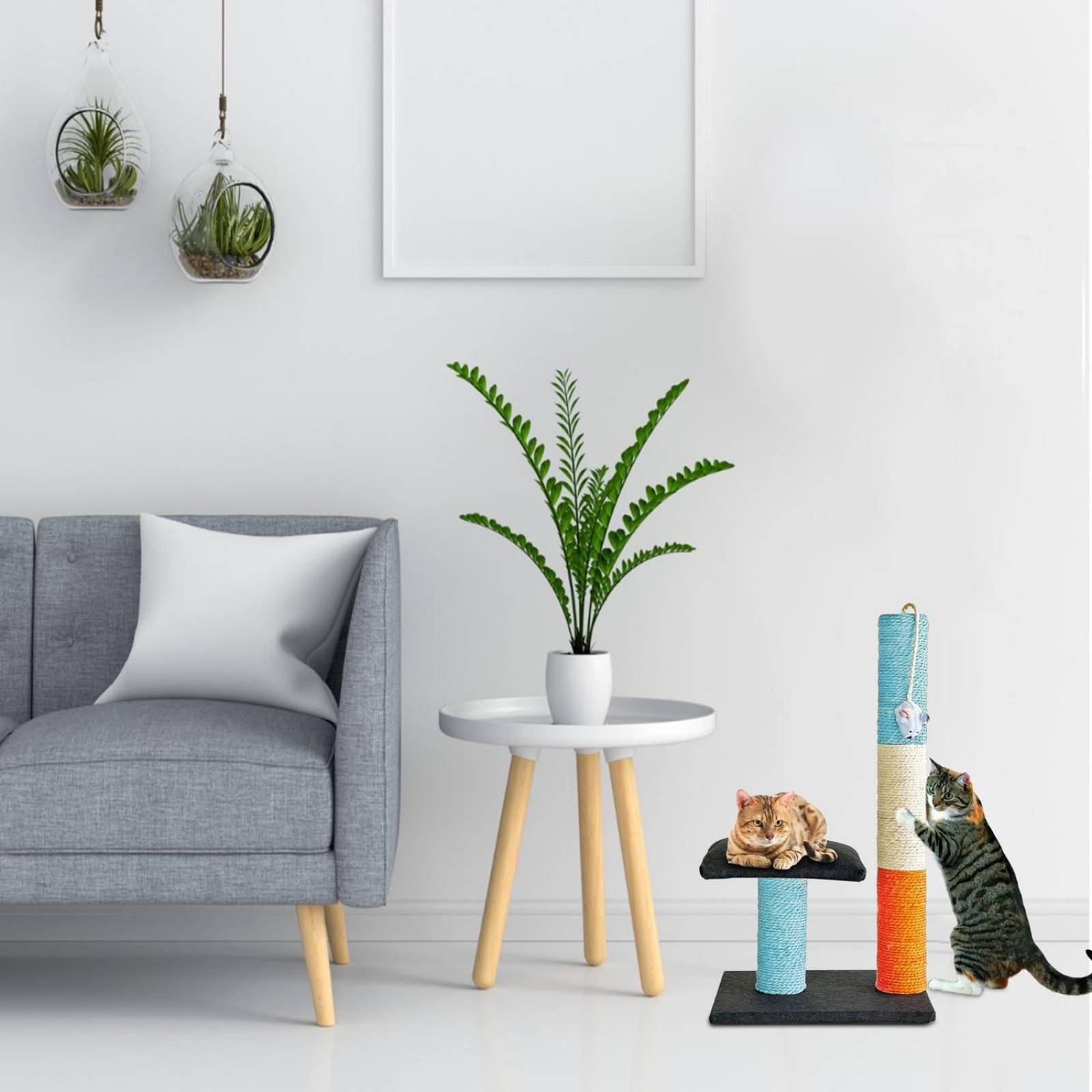 Golden King | Rascador para Gatos 70 cm de Alto Juguetes para Gatos y Cama para Gato | Rascador con Plataforma de 