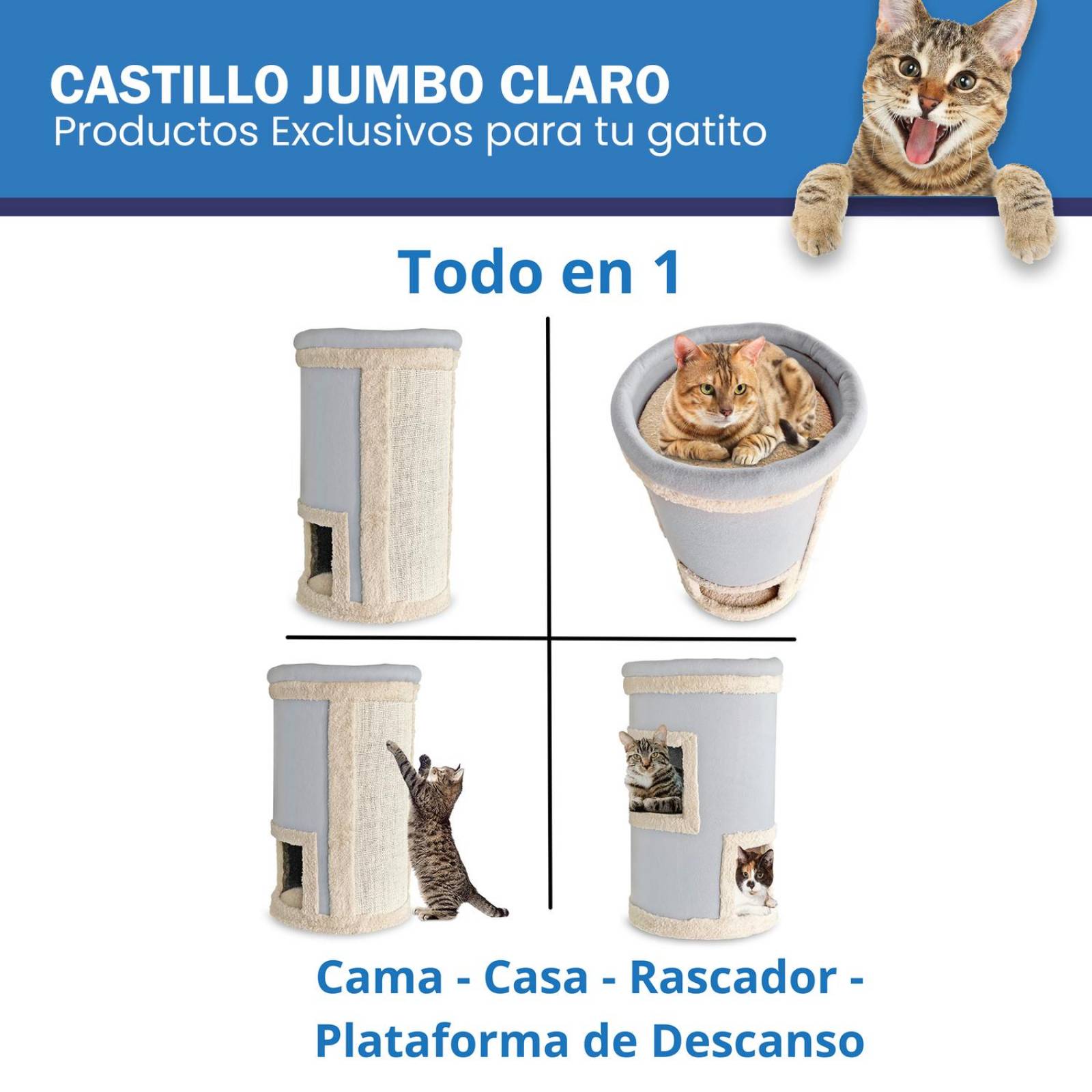 Camas para best sale gatos jumbo