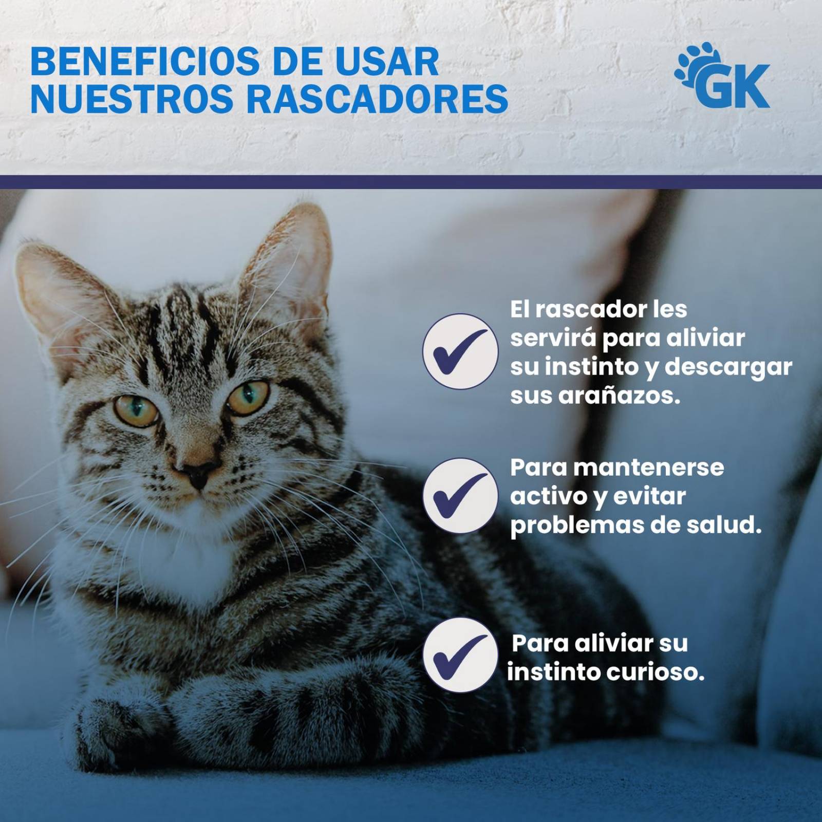Golden King | Poste Rascador para Gatos 72 cm de Alto Juguetes y accesorios para Gatos. 