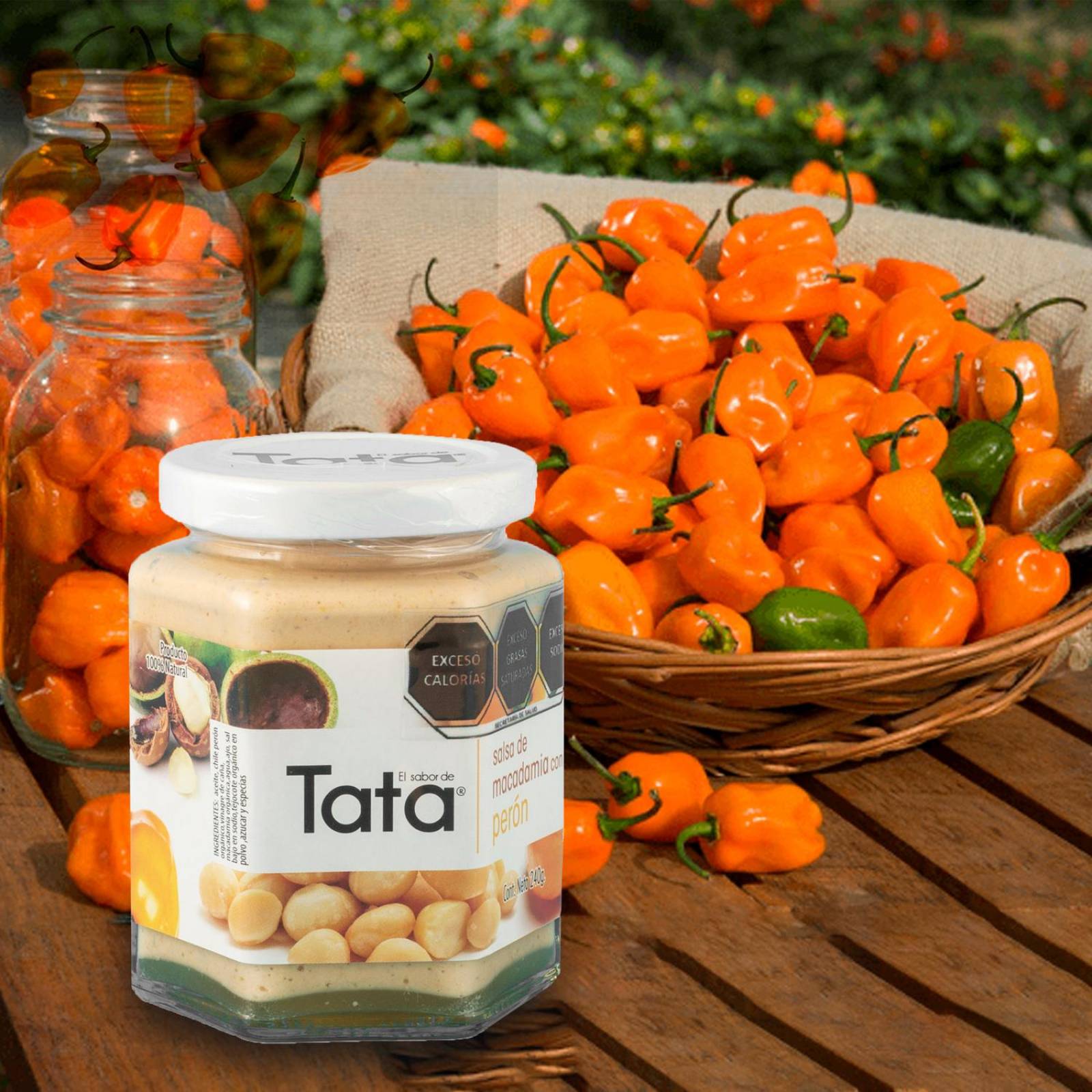 Salsa de Nuez de Macadamia y Chiles 240gr Tradicionales de Nueces de Macadamia en Frascos de Vidrio tata peron peron