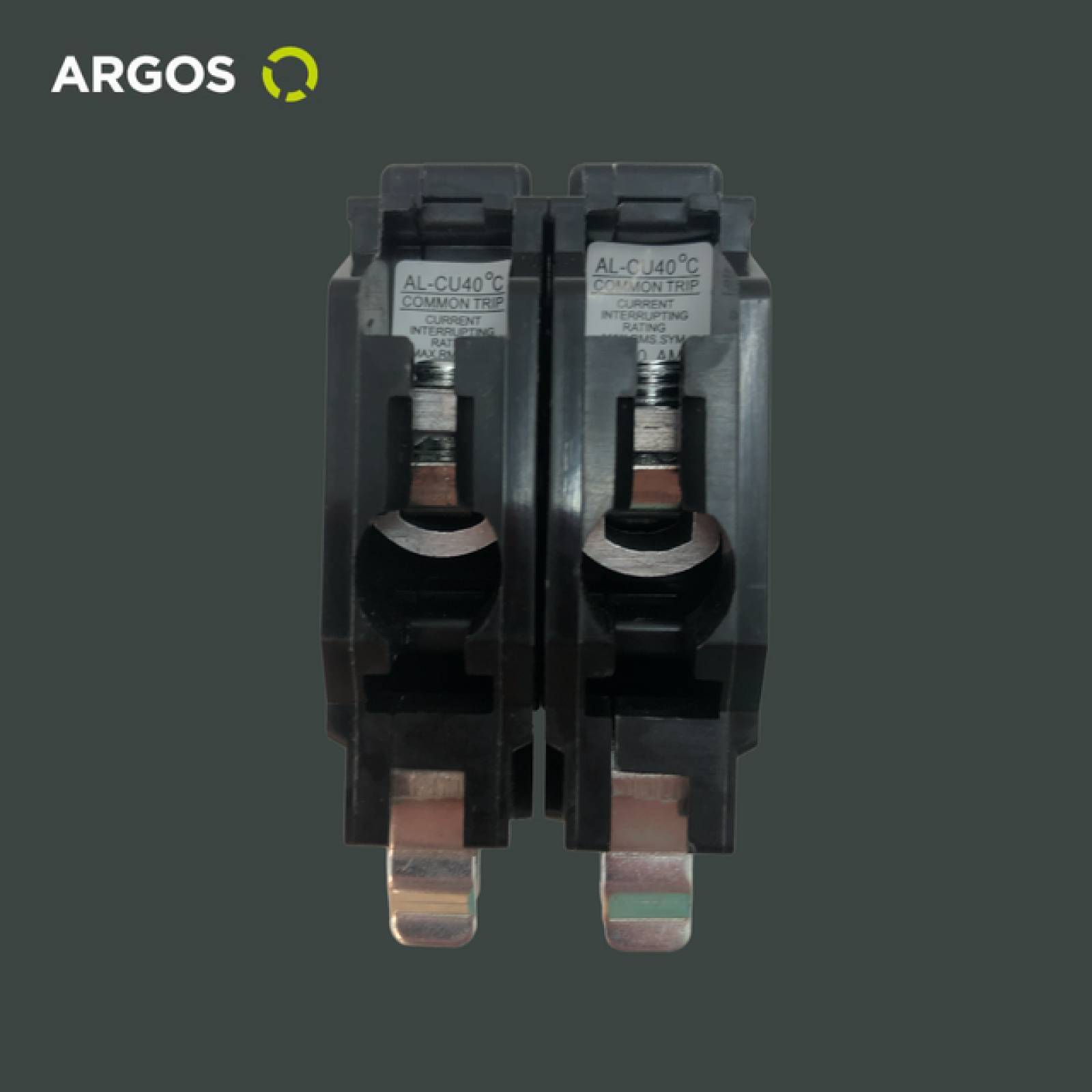 ARGOS Interruptor termomagnético de 2 Polos, 30A, 60 Hz, 10 kA 