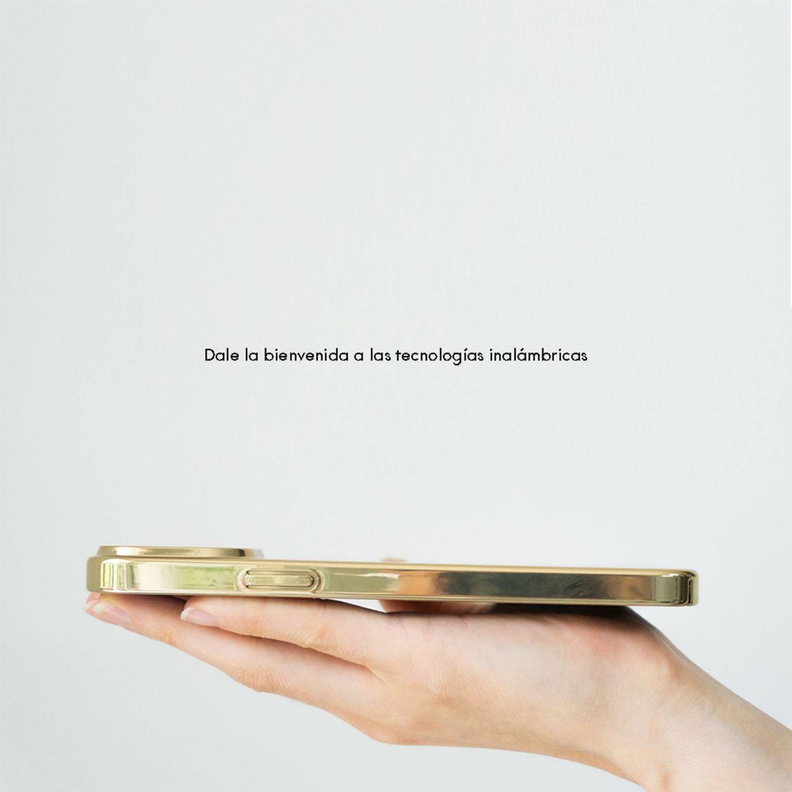 Funda Magnética Para iPhone 11 Pro / 11 Pro Max / 12 Mini / 12 Pro / 12 Pro Max / 13 Pro / 13 Pro Ma 13 Pro Max Dorado