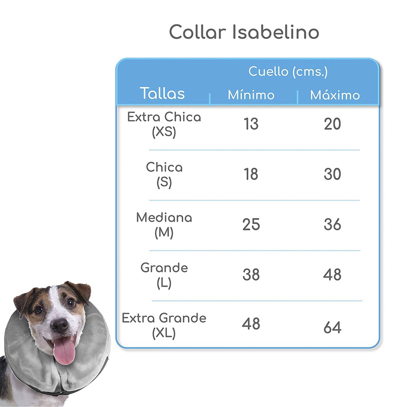 Mascretta Collar Isabelino para Perro o Gato Dona Isabelina Mascotas