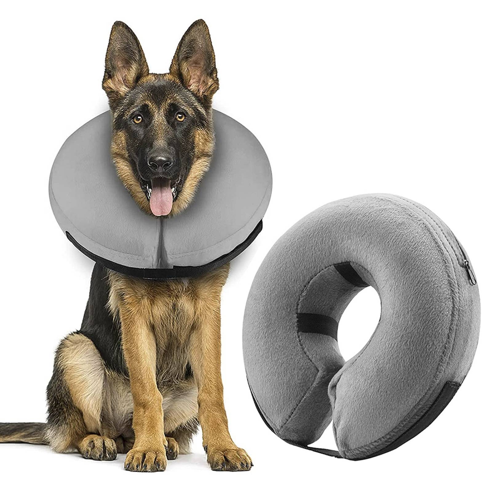 Mascretta Collar Isabelino para Perro o Gato Dona Isabelina Mascotas