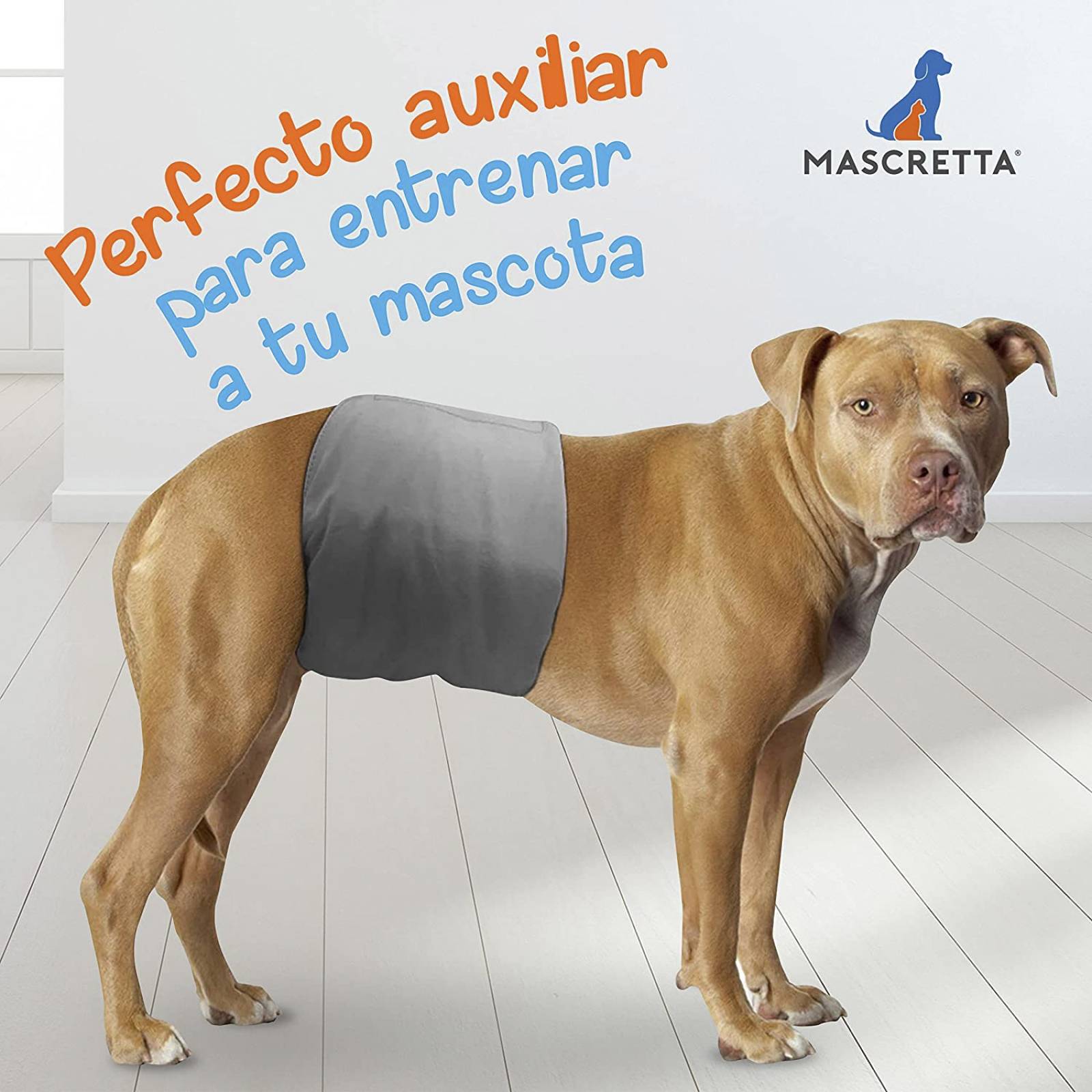 Set de 3 Pañales para Perro Macho Super Absorbentes y Reusables