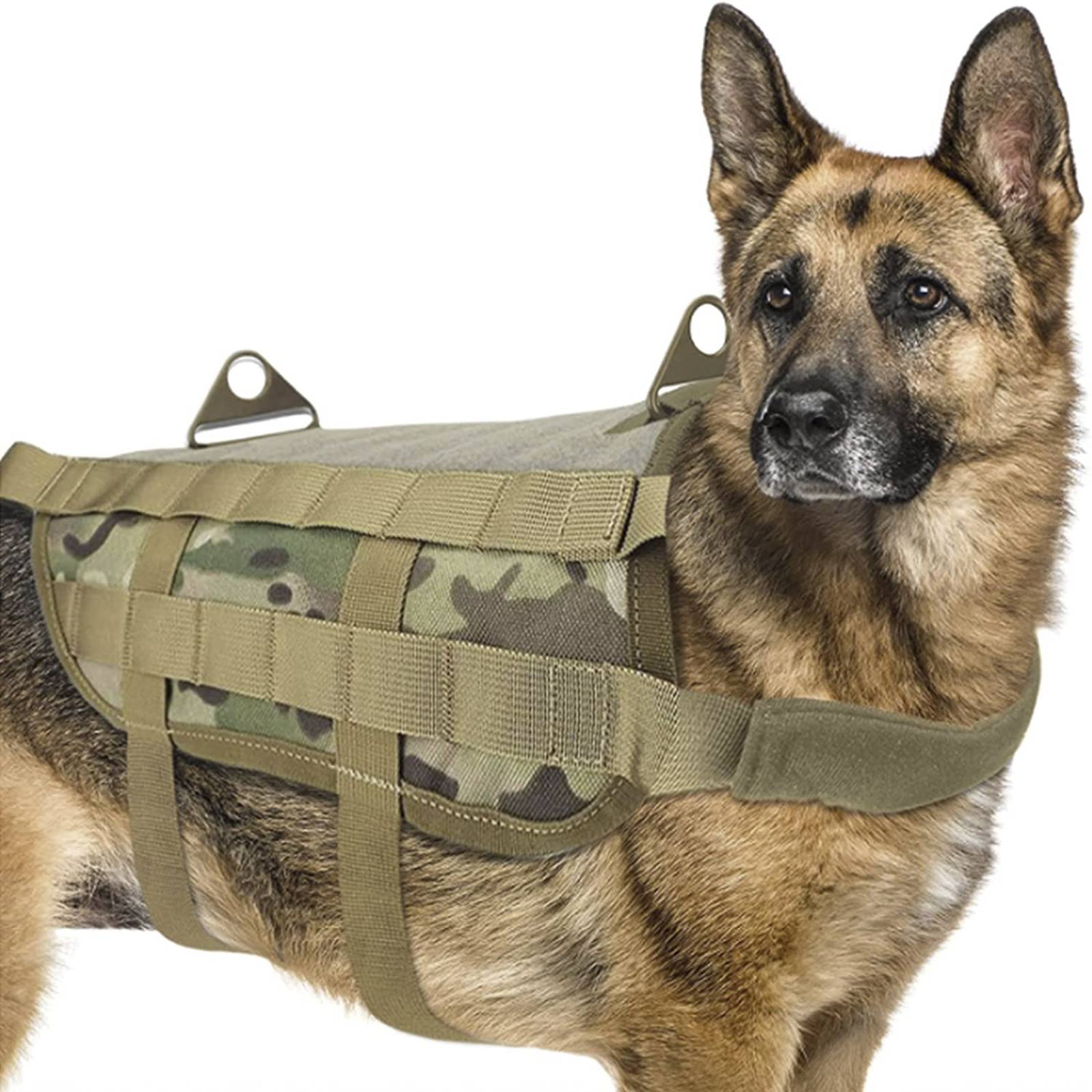 Mascretta Pechera Tactica para Perro K9 Arnes Tactico Chico