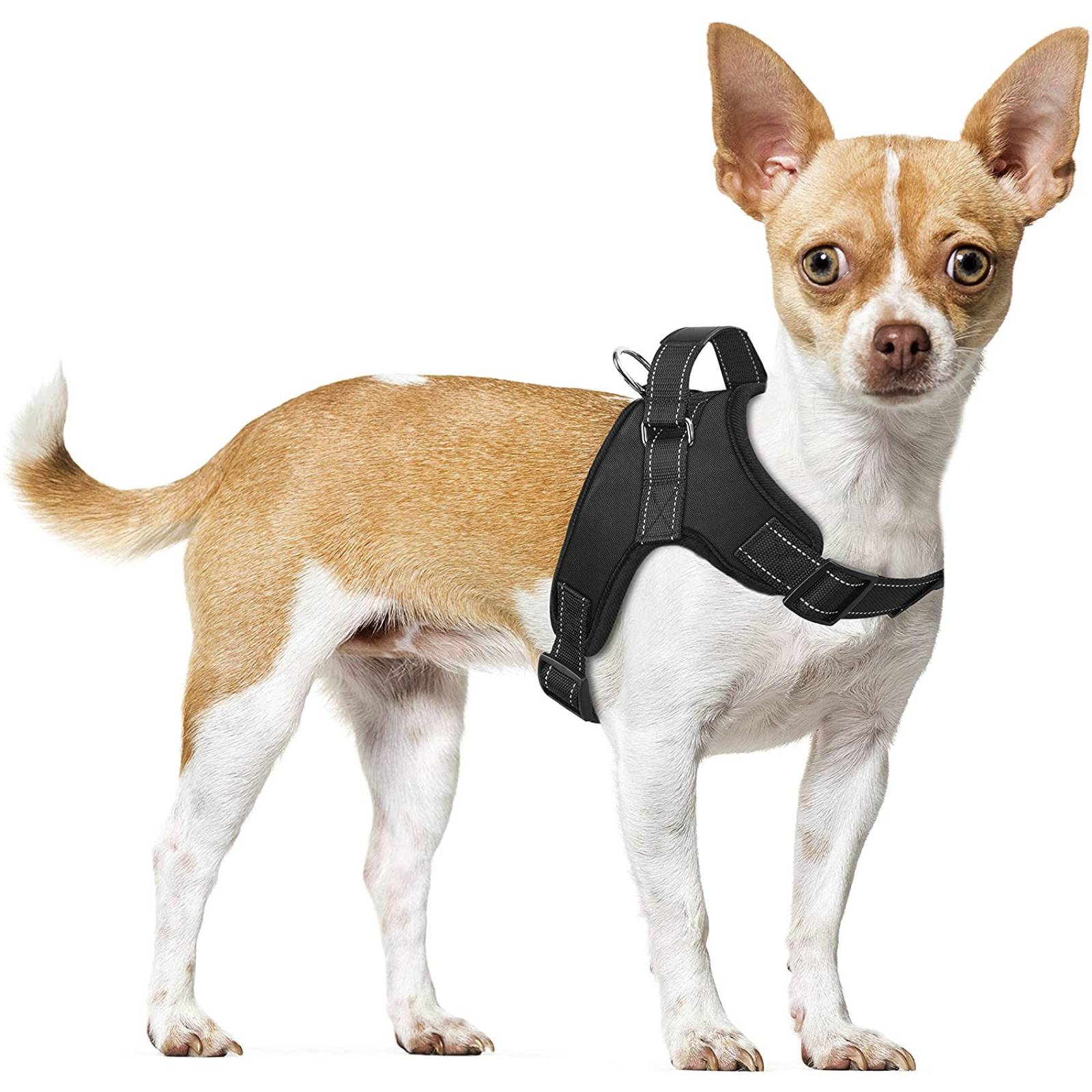 Pechera Antitirones para Perro Arnes Resistente de Perro Talla Chica
