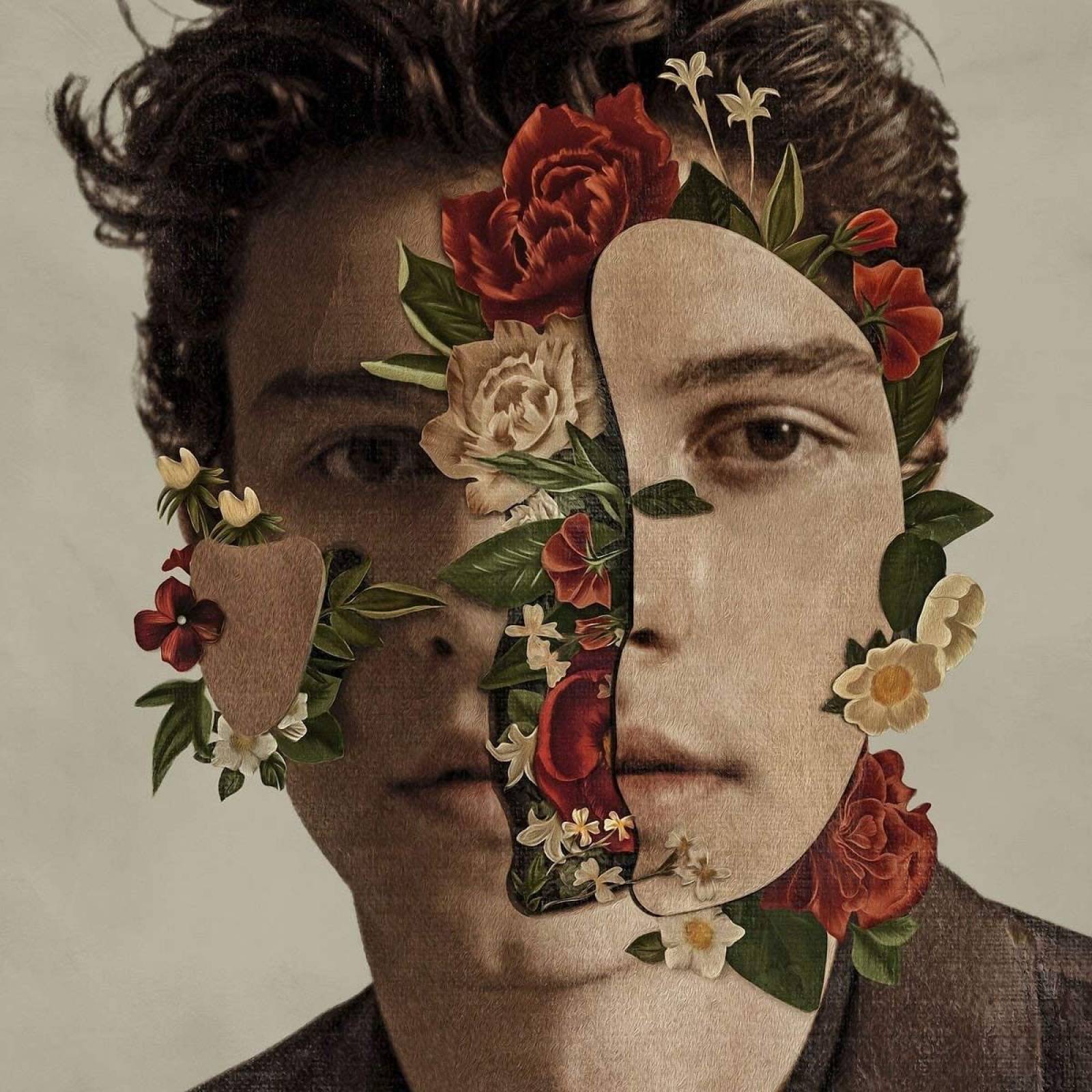Shawn Mendes - Lp Vinyl