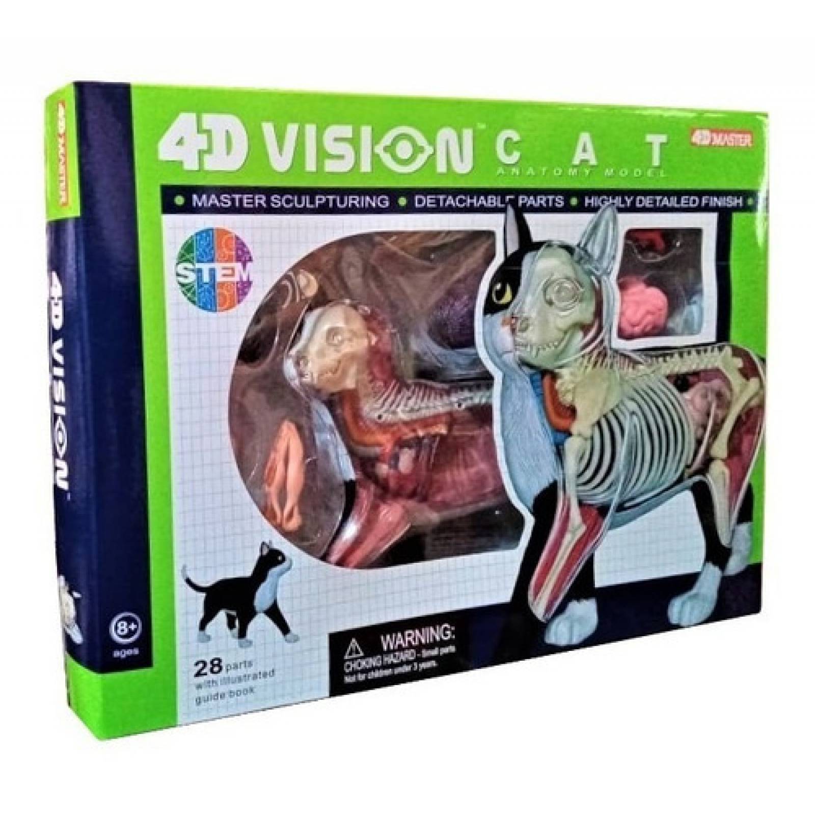 Gato Modelo De Anatomia 4d Sistema Digestivo , Oseo Muscular 4D master