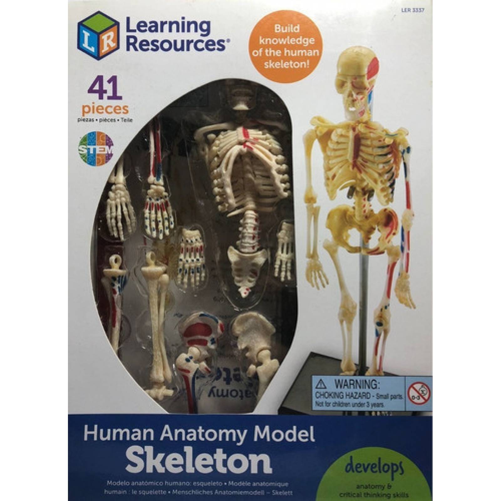 Modelo Anatomico De El Esqueleto / Anatomy Skeleton (41 Pzs).